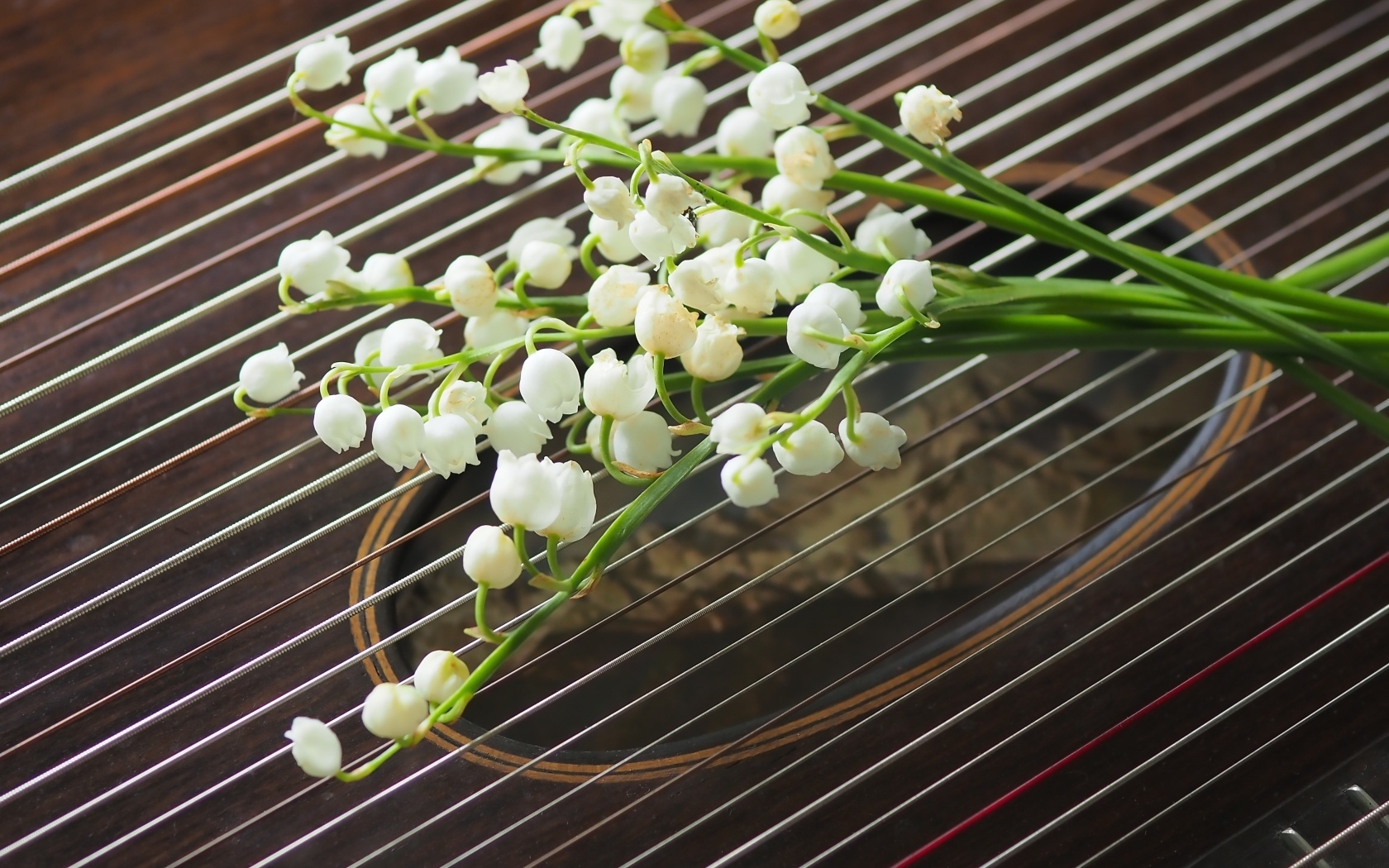 Букет белых ландышей лежит на струнах