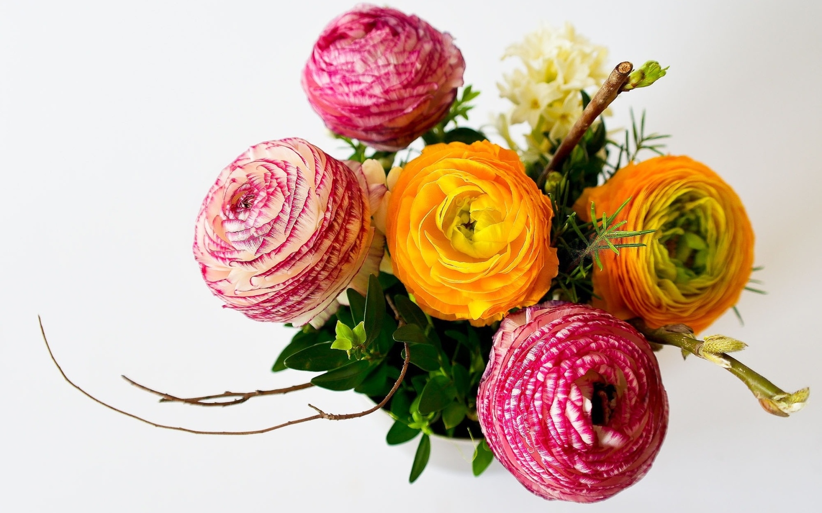 Букет разноцветных цветов лютика на сером фоне