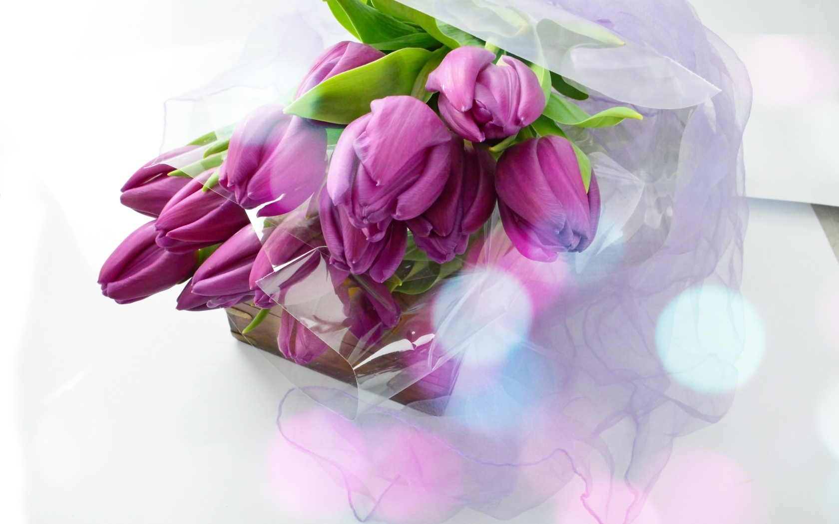 Букет тюльпанов с подарком на белом фоне