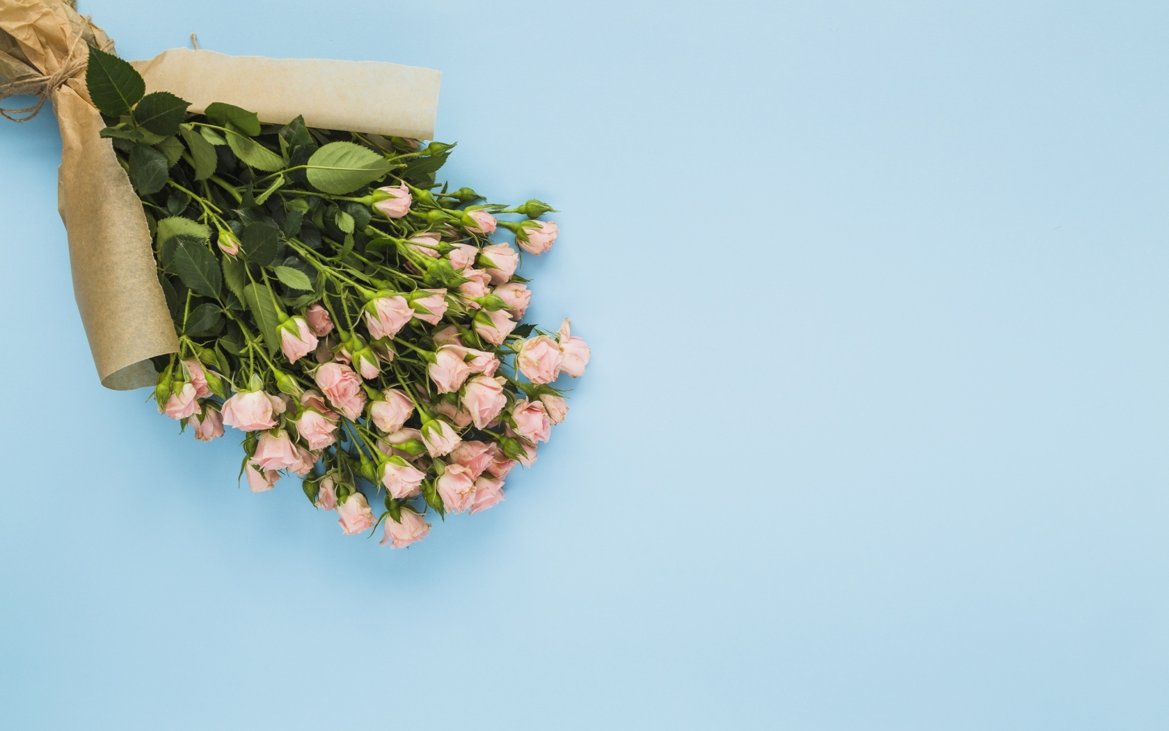 Большой букет розовых роз на голубом фоне