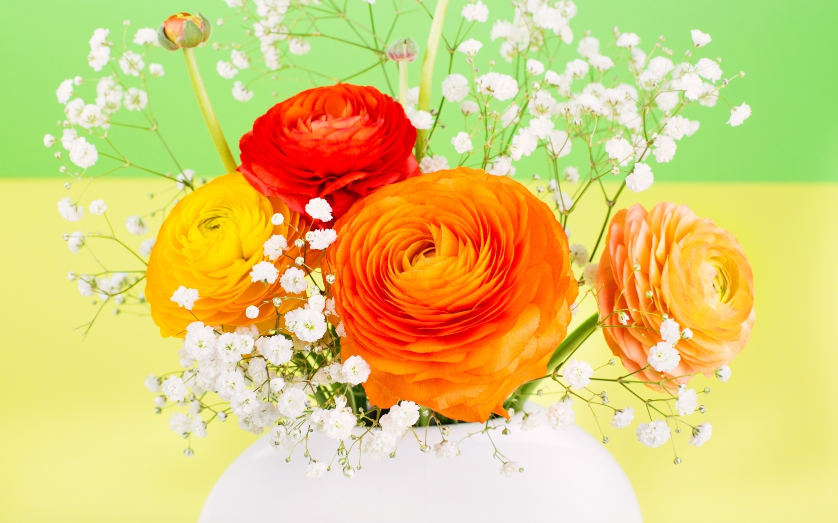 Оранжевые лютики с белыми цветами гипсофилы