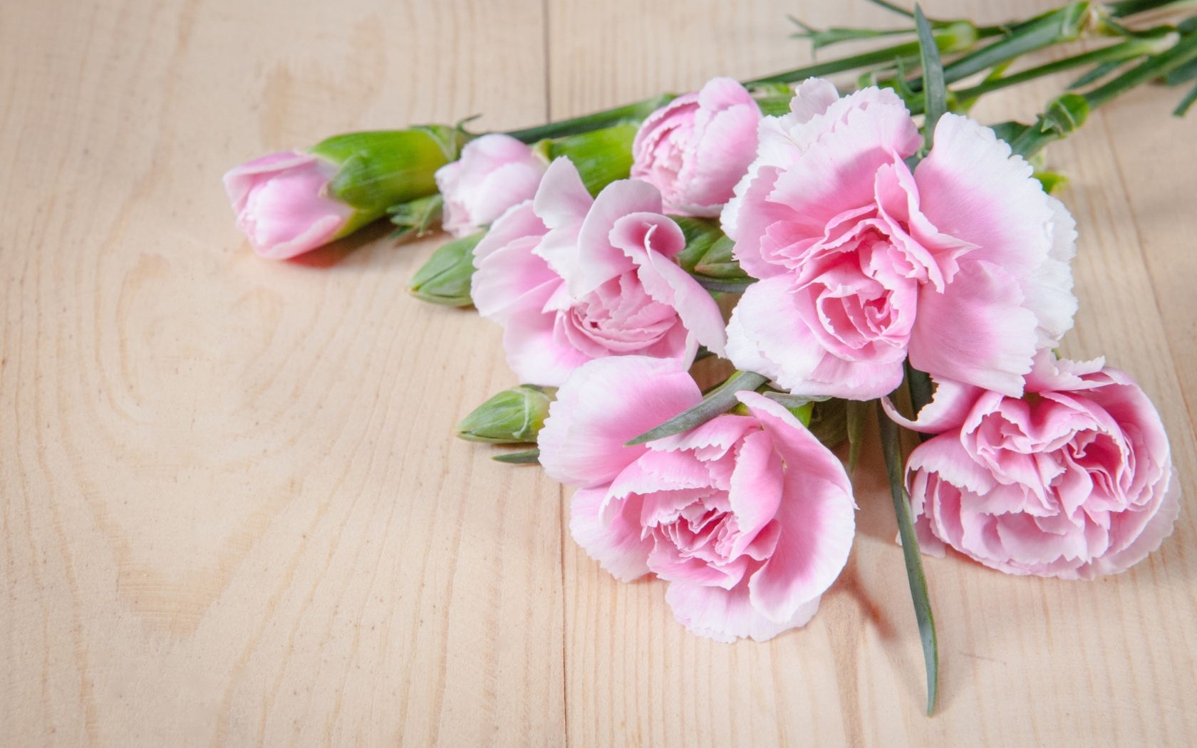 Розовые гвоздики на столе