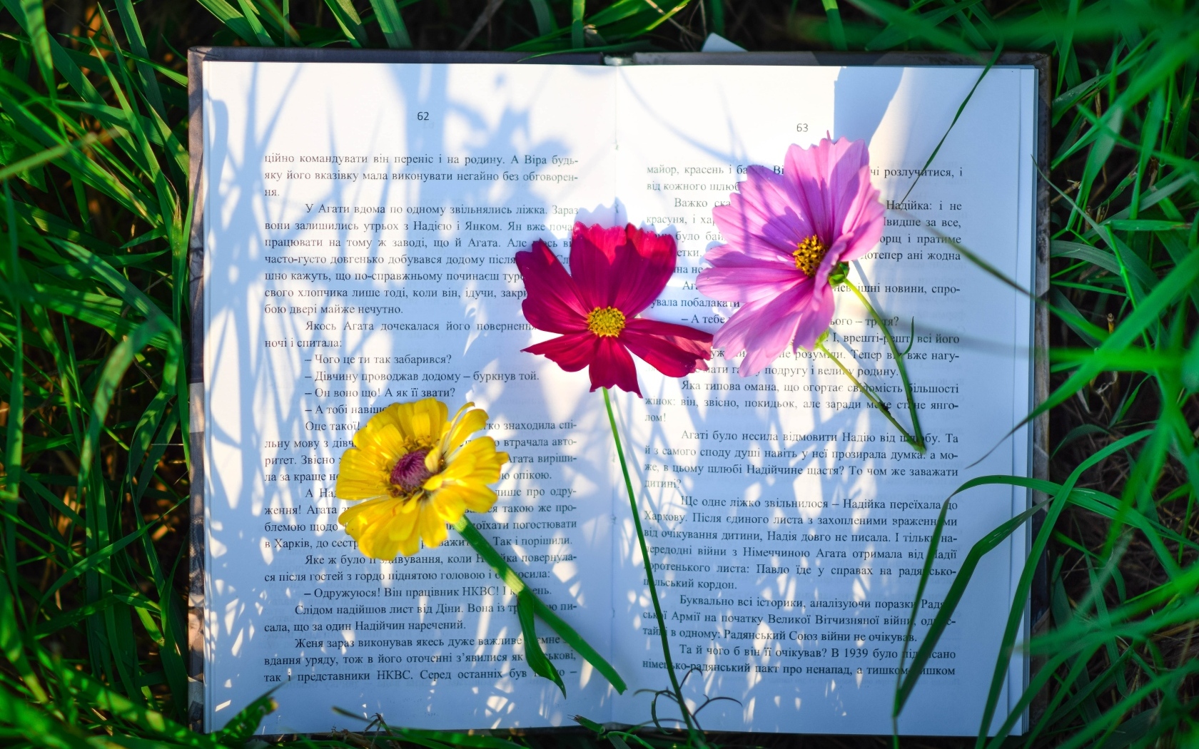 Три цветка лежат на книге в траве