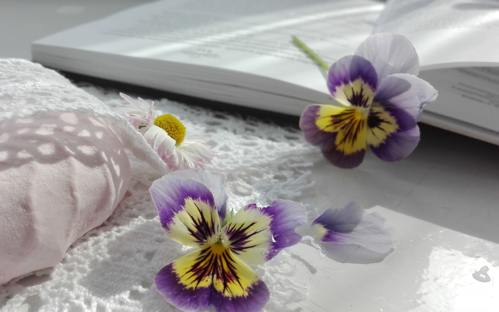 Два цветка анютины глазки с книгой и зефиром