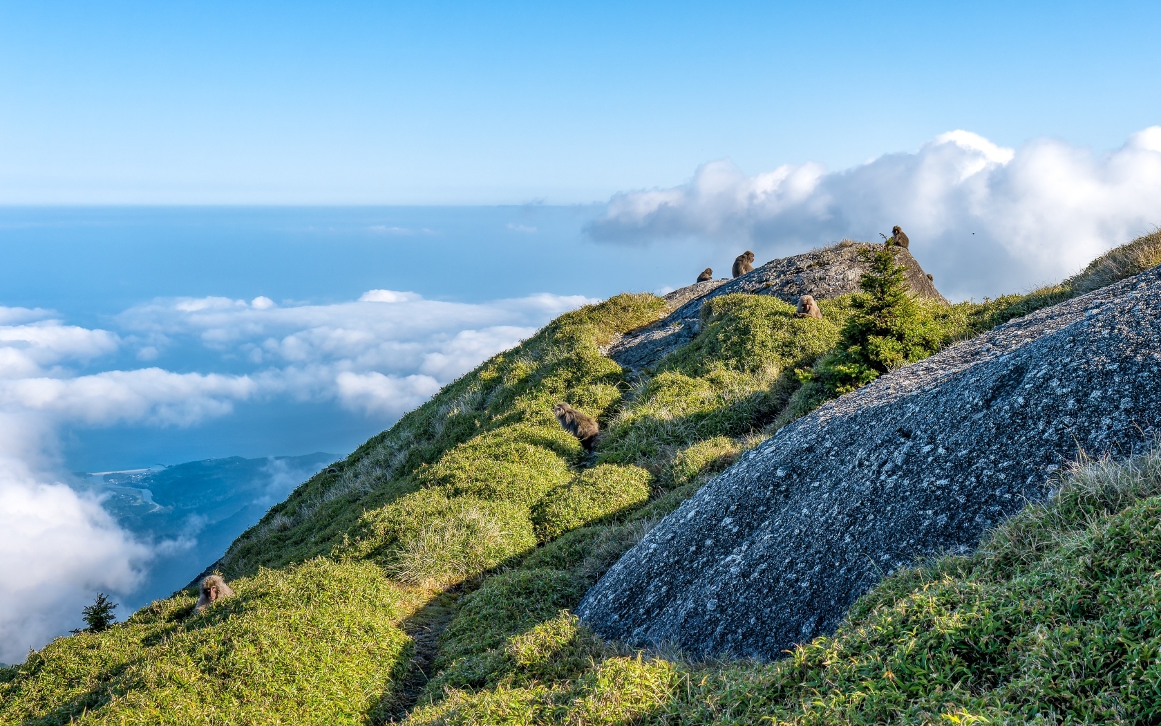 Высокие покрытые зеленью горы выше облаков