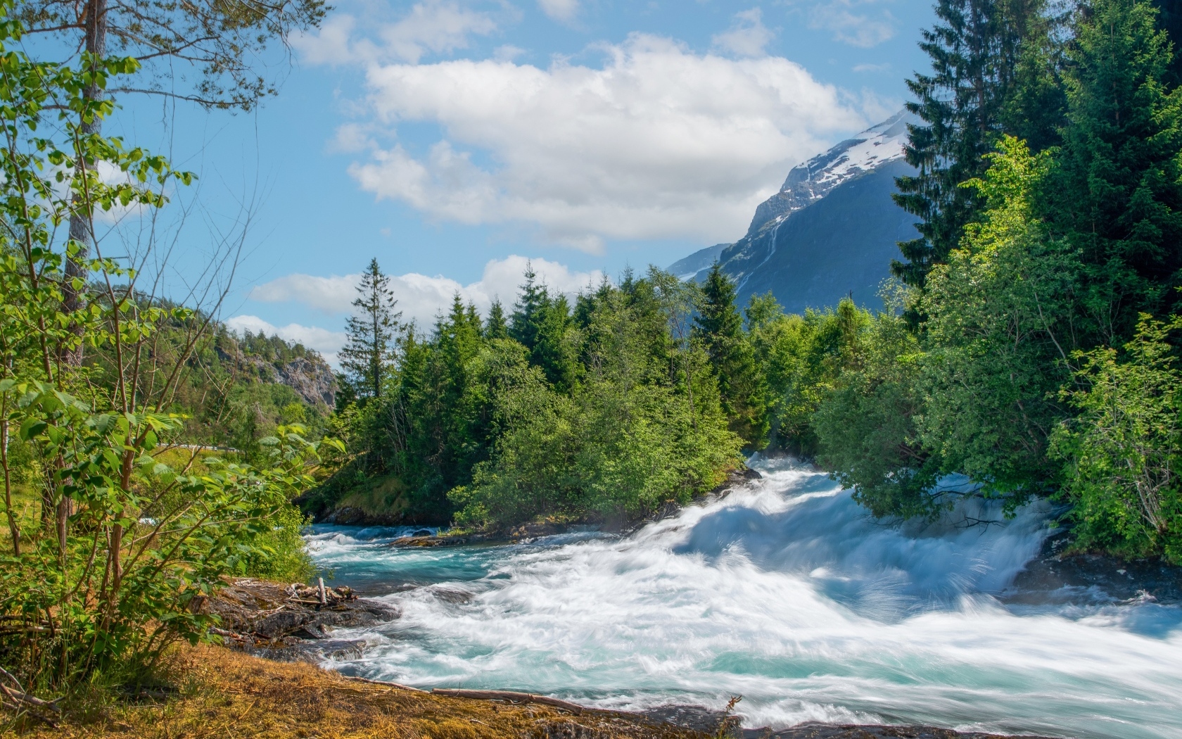 Бушующая быстрая река в лесу