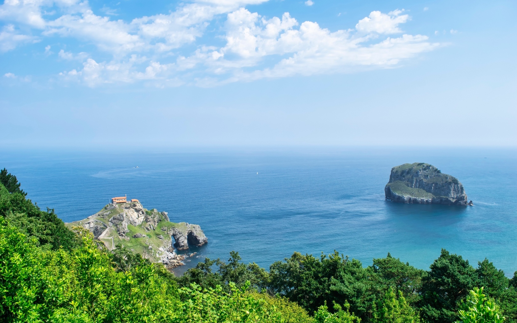 Красивый вид на море с покрытой деревьями горы