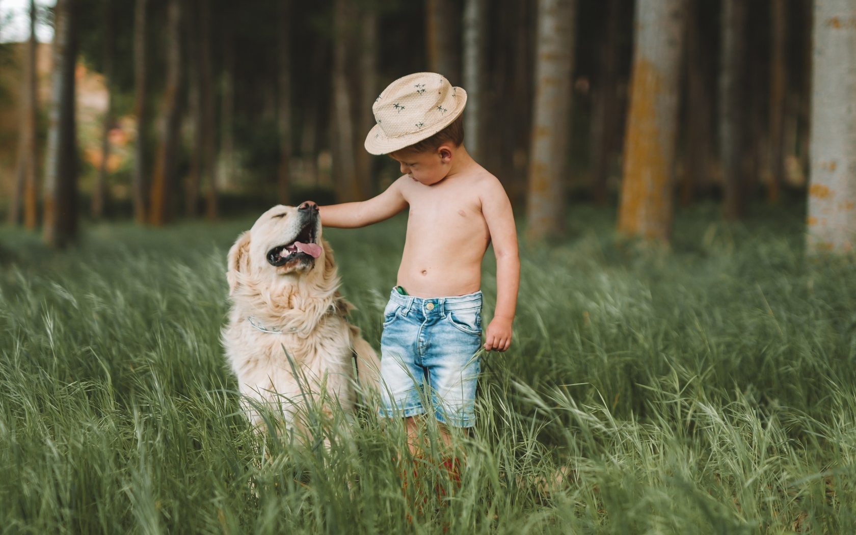 Маленький мальчик с золотистым ретриверов в траве