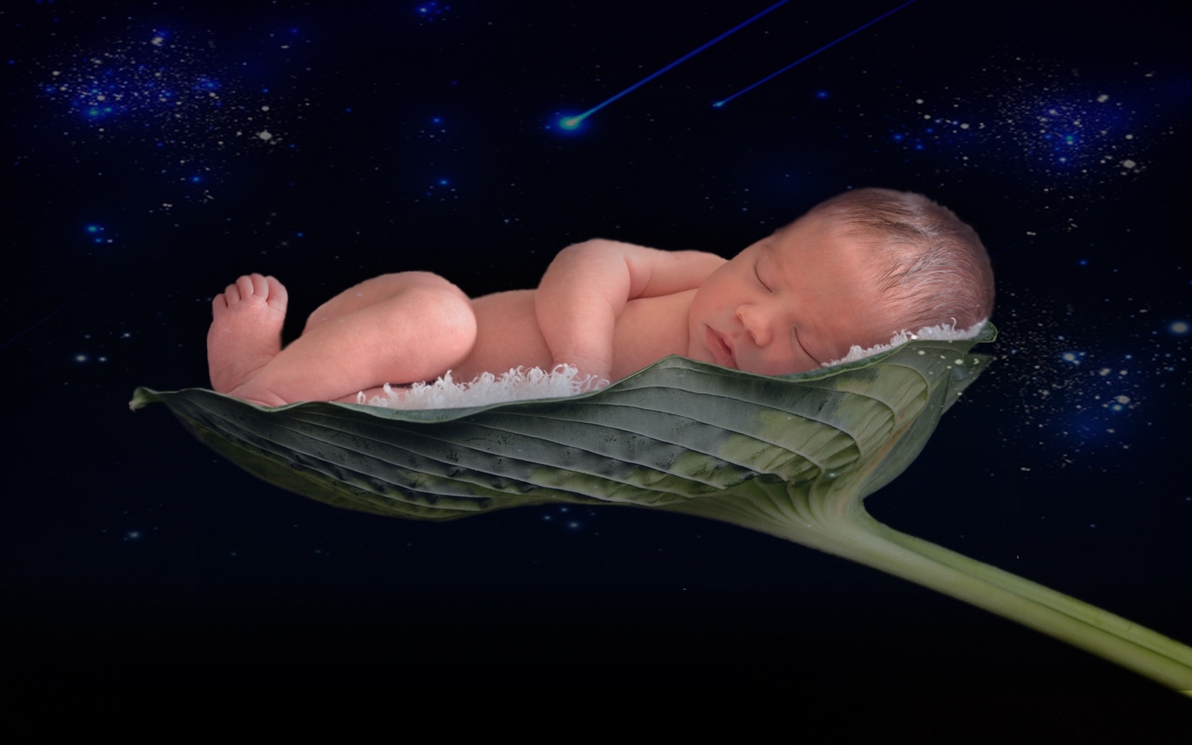 Новорожденный малыш спит на листе лотоса