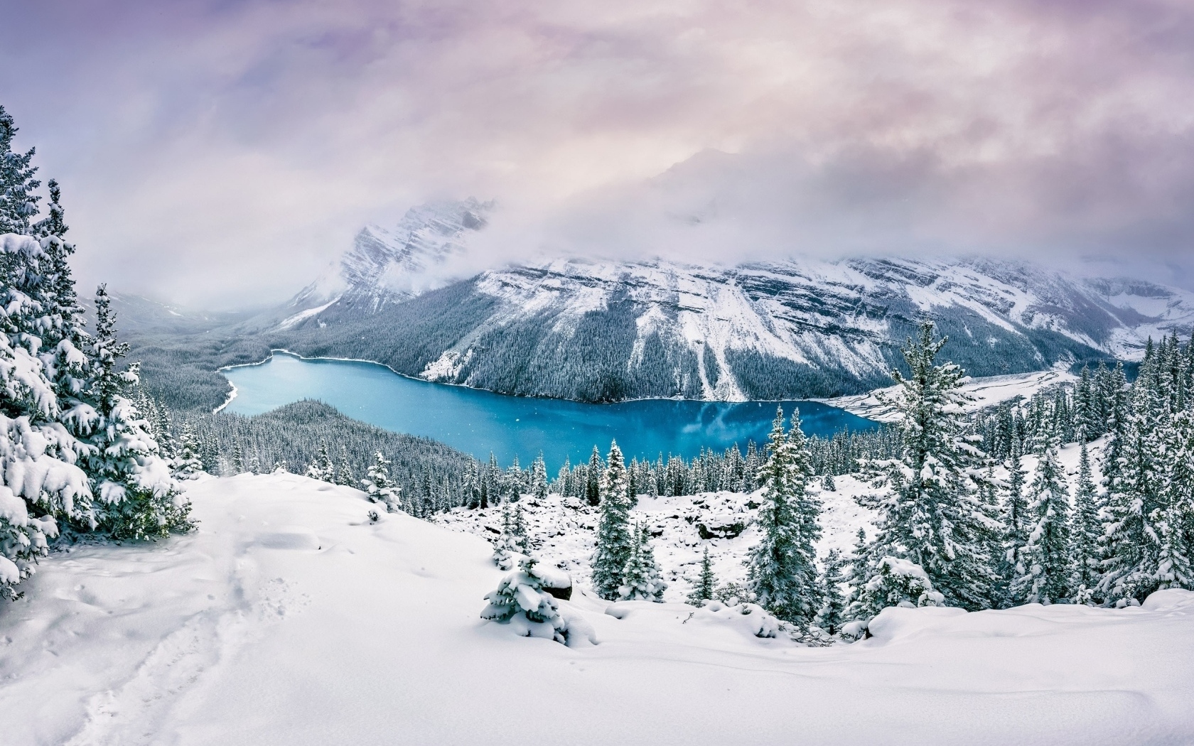 Вид на заснеженные горы, лес и реку
