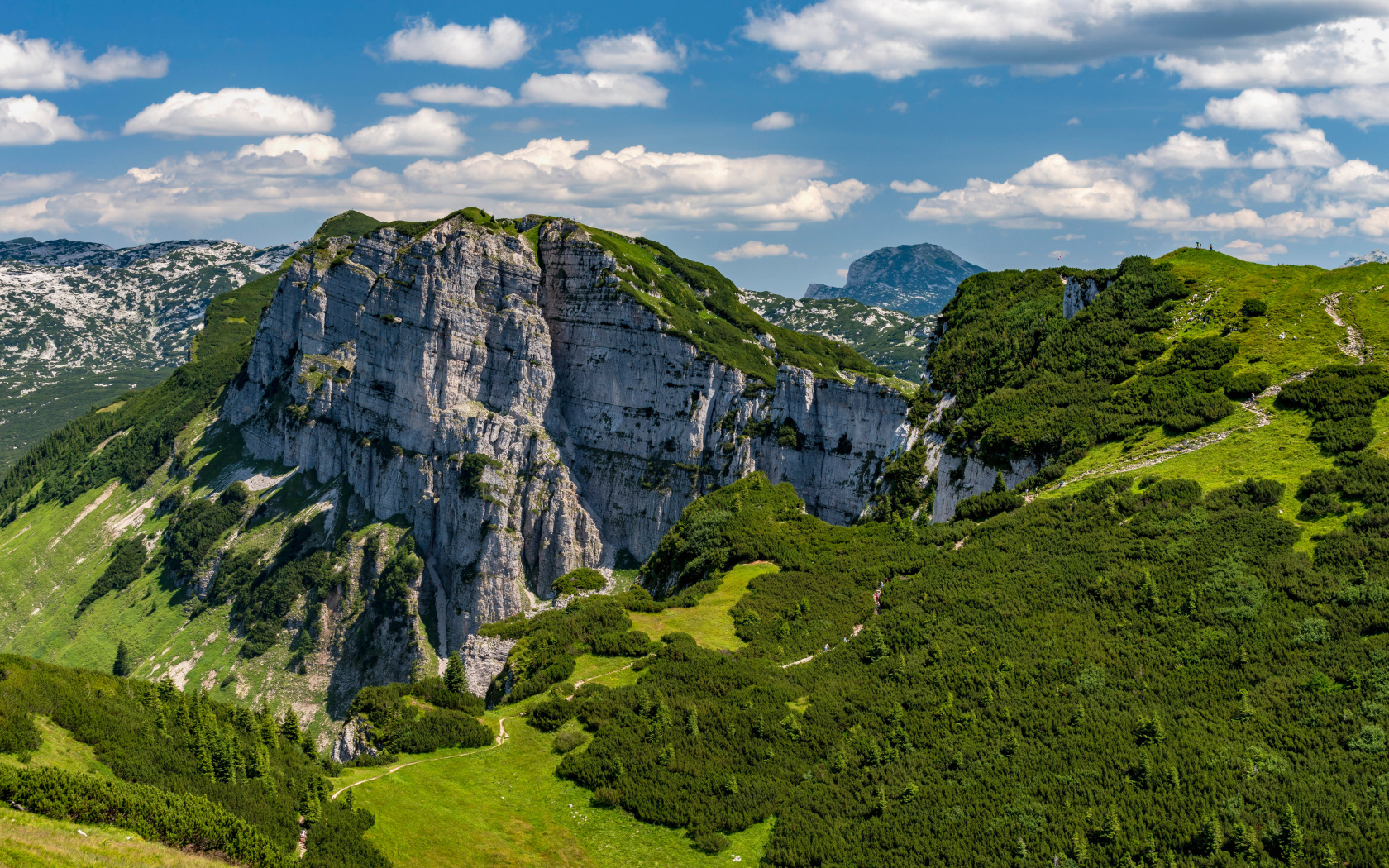 Вид на покрытые зеленью Австрийские Альпы