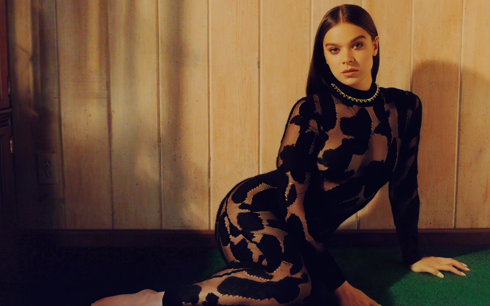 Актриса Хейли Стейнфилд в черном платье у стены