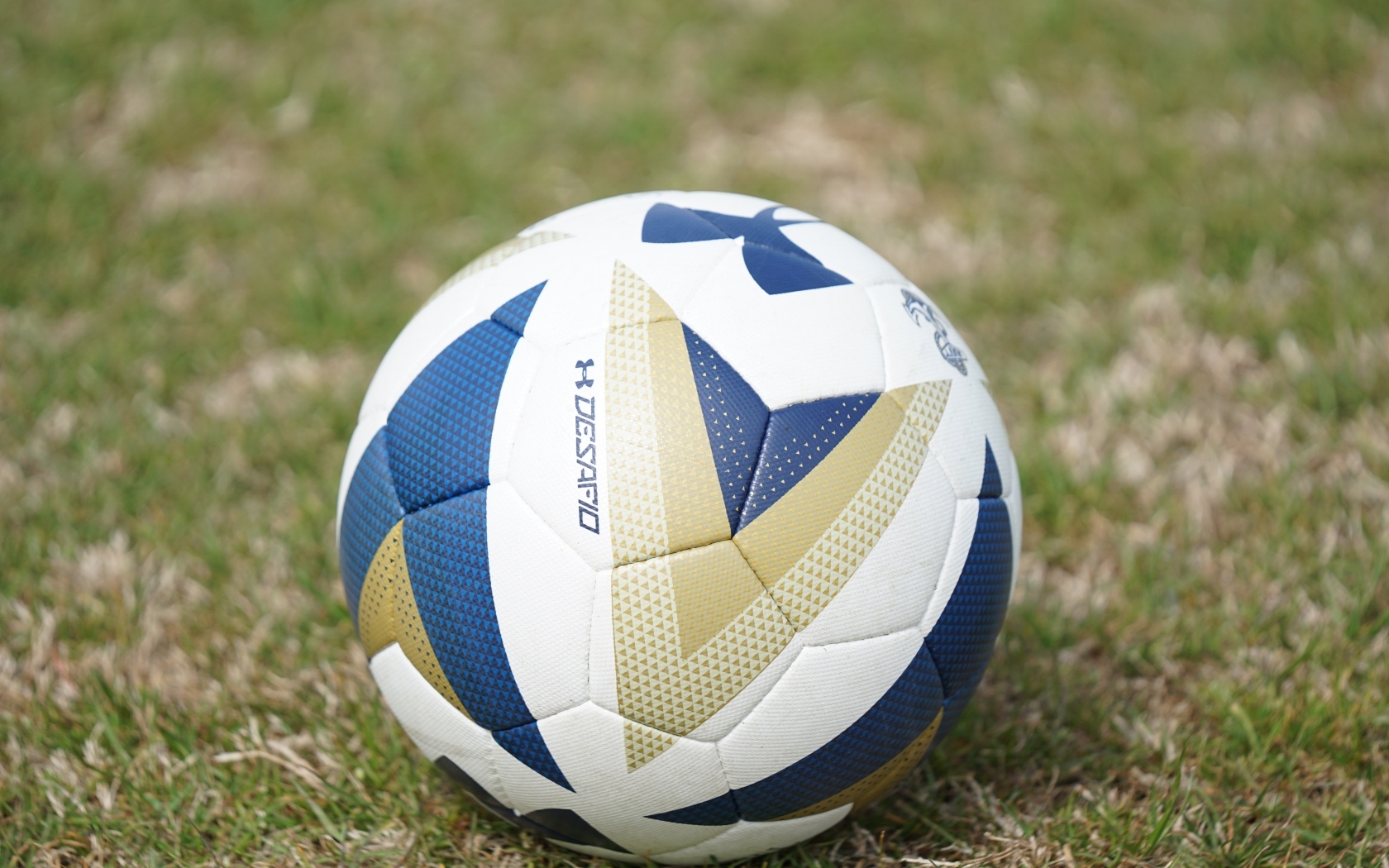 Большой футбольный мяч на поле