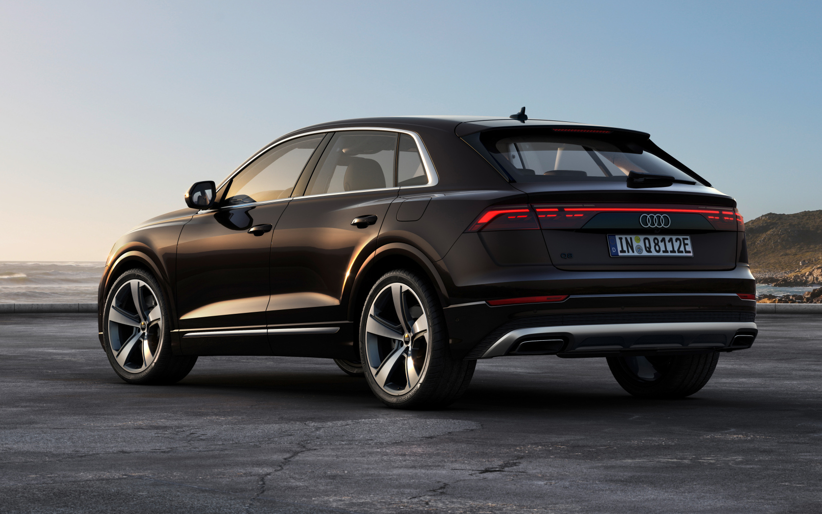 Вид сзади на черный автомобиль Audi Q8 55 TFSI E Quattro 2024 года