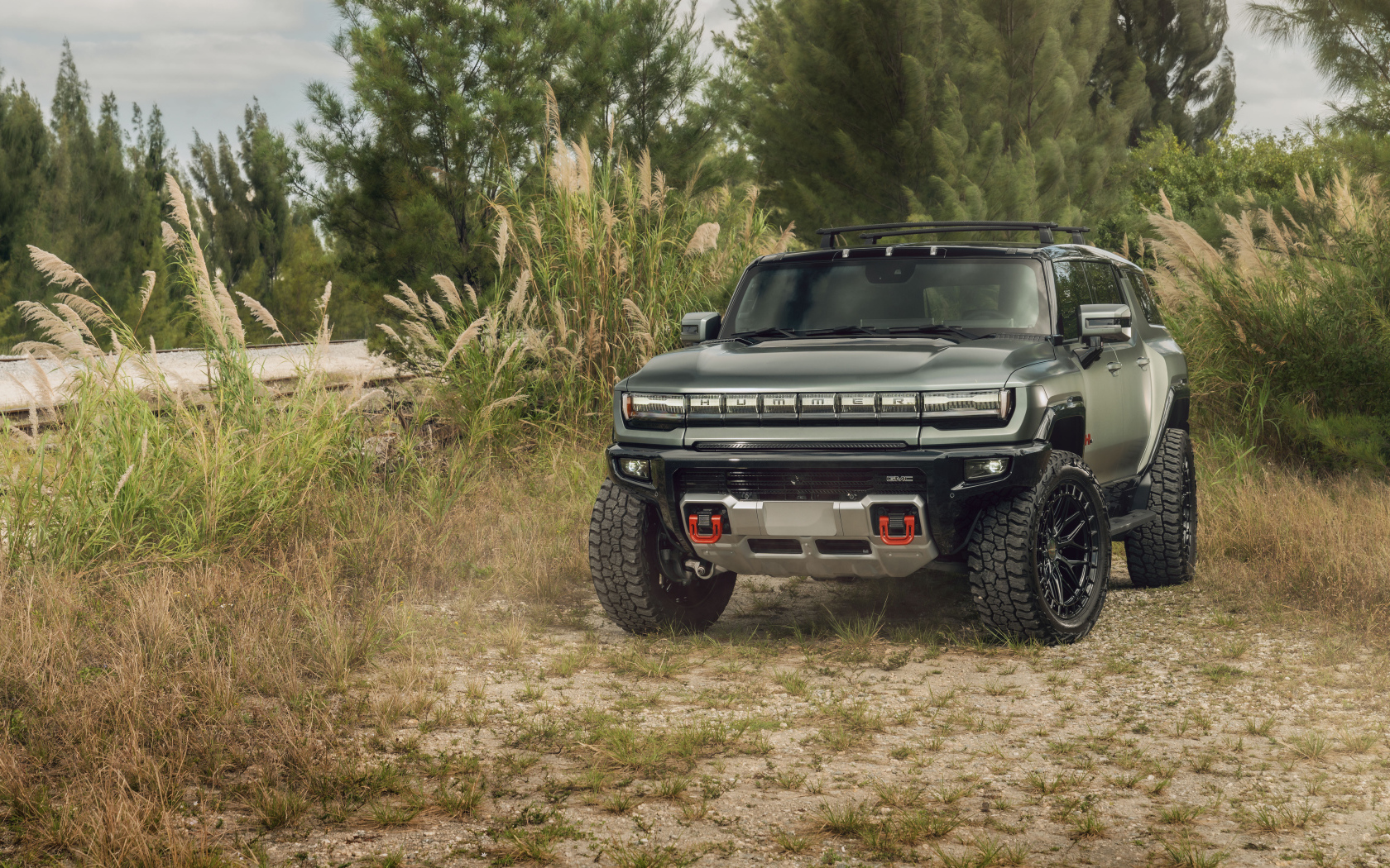 Пикап Hummer EV в зарослях