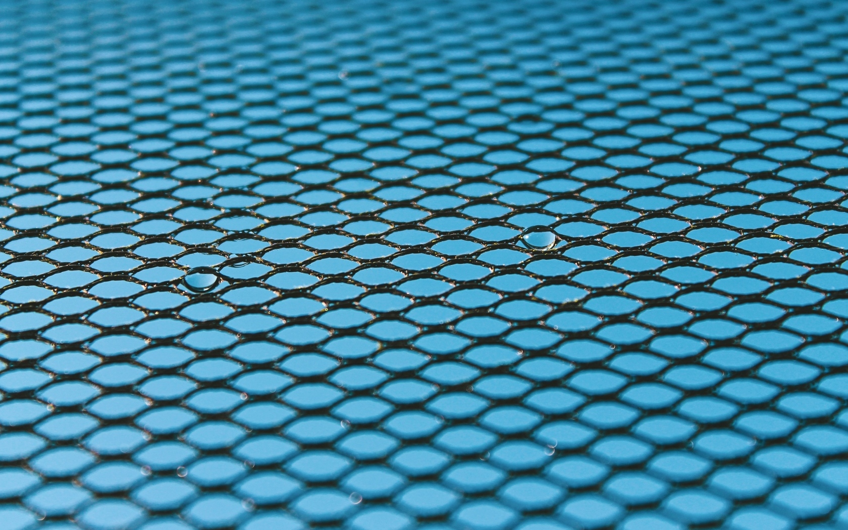 Черная сетка на голубом для фона