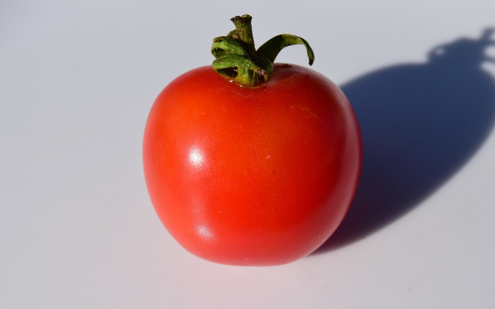 Большой красный помидор на сером фоне