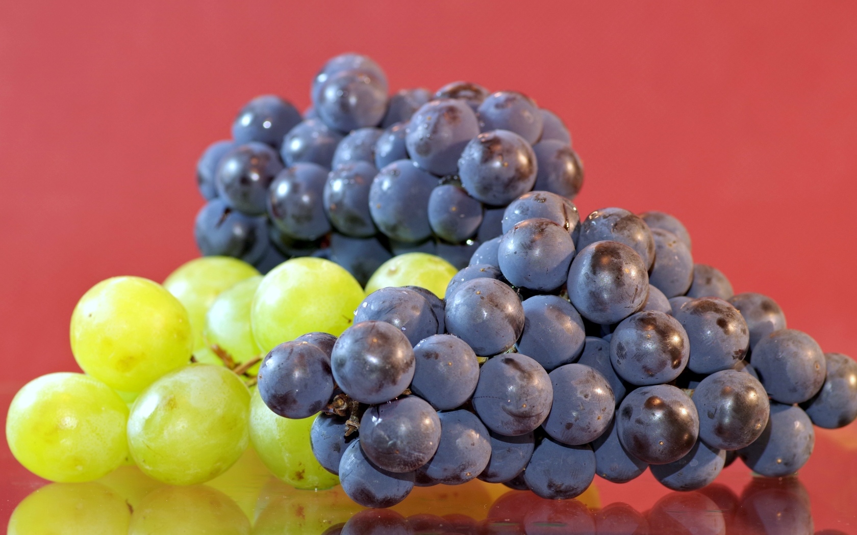 Синий и зеленый виноград на красном фоне