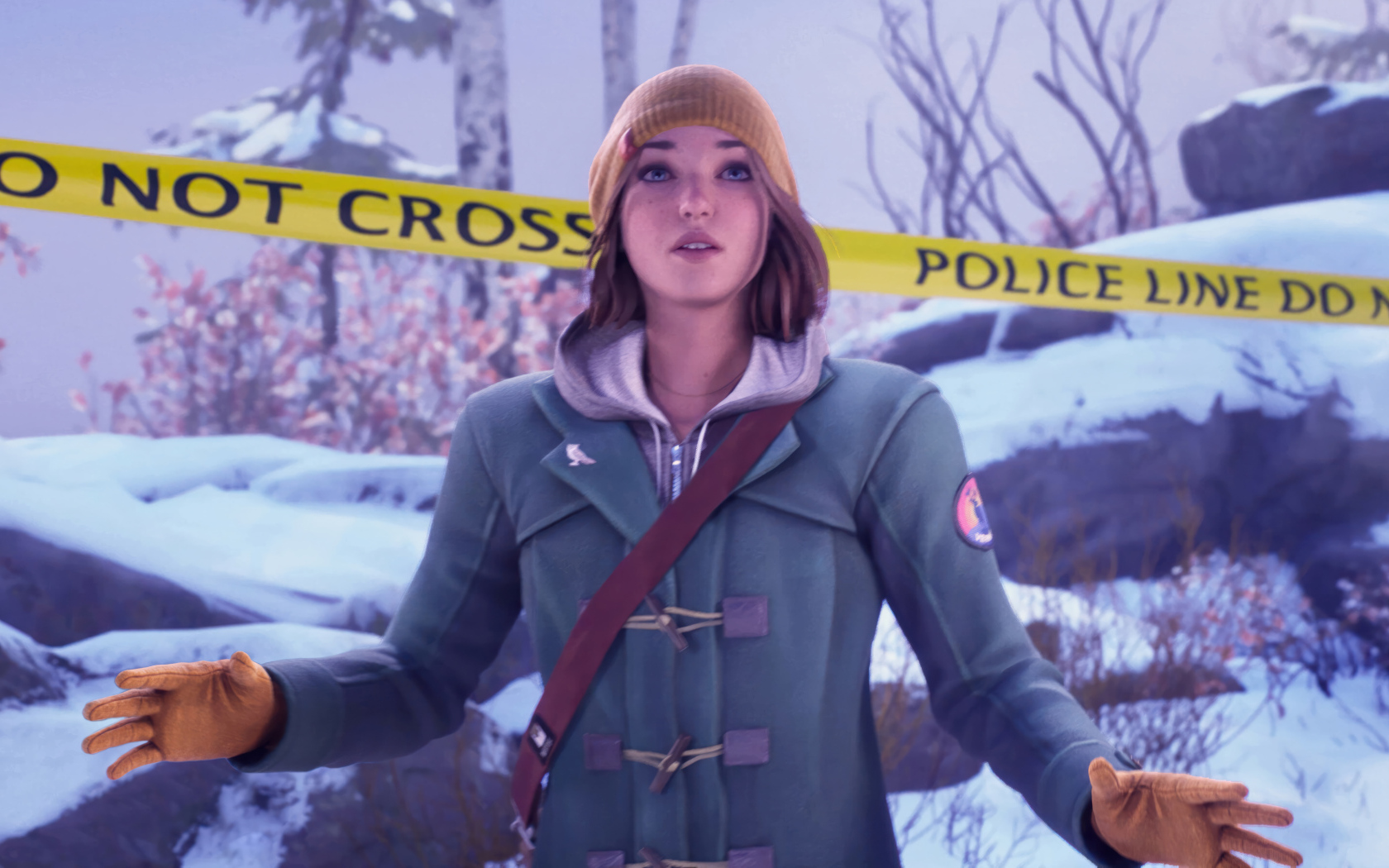 Компьютерная игра Life is Strange: Double Exposure, 2024