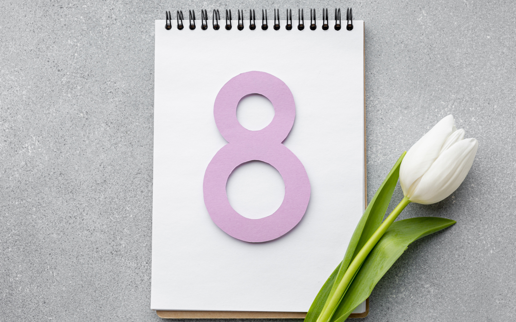 Розовая цифра 8 на блокноте с белым тюльпаном на Международный женский день 