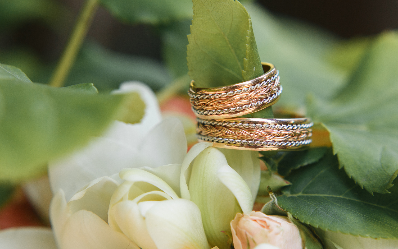 Два обручальных кольца на зеленом листке с белыми цветами