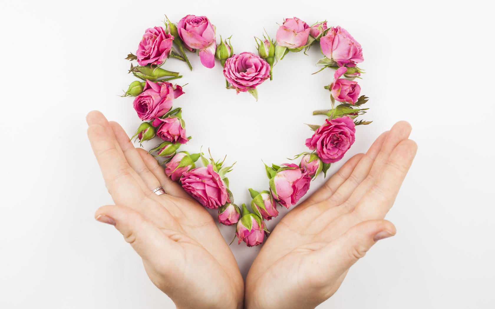 Ладони и сердце из цветов на белом фоне