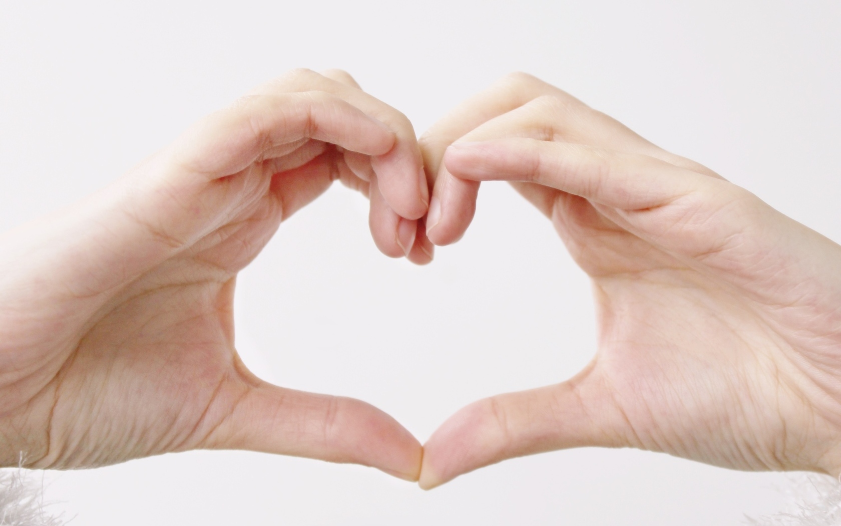 Две руки делают сердце на белом фоне