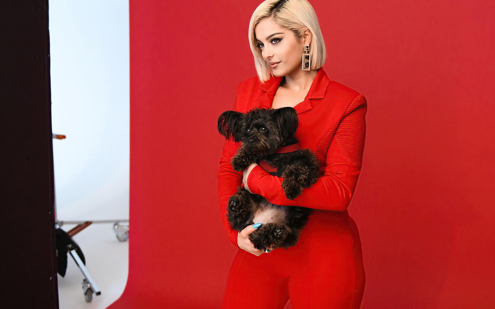 Певица Биби Рекса   с собакой в руках