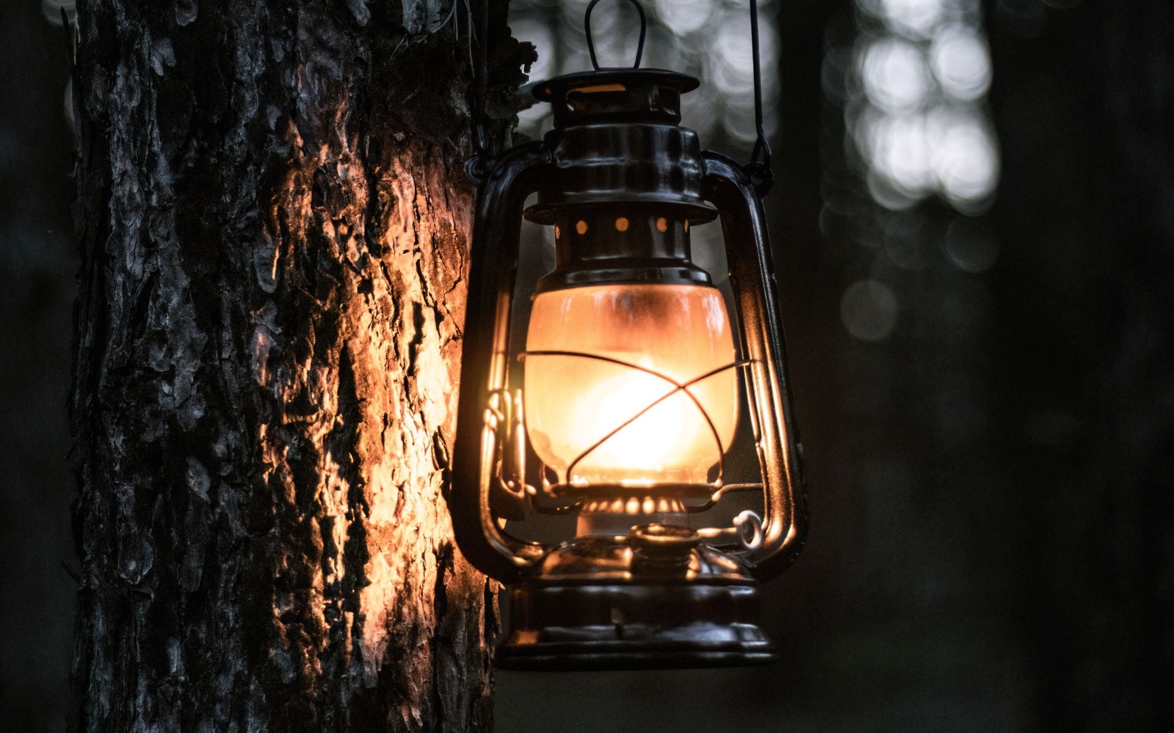 Светящийся фонарь висит на дереве