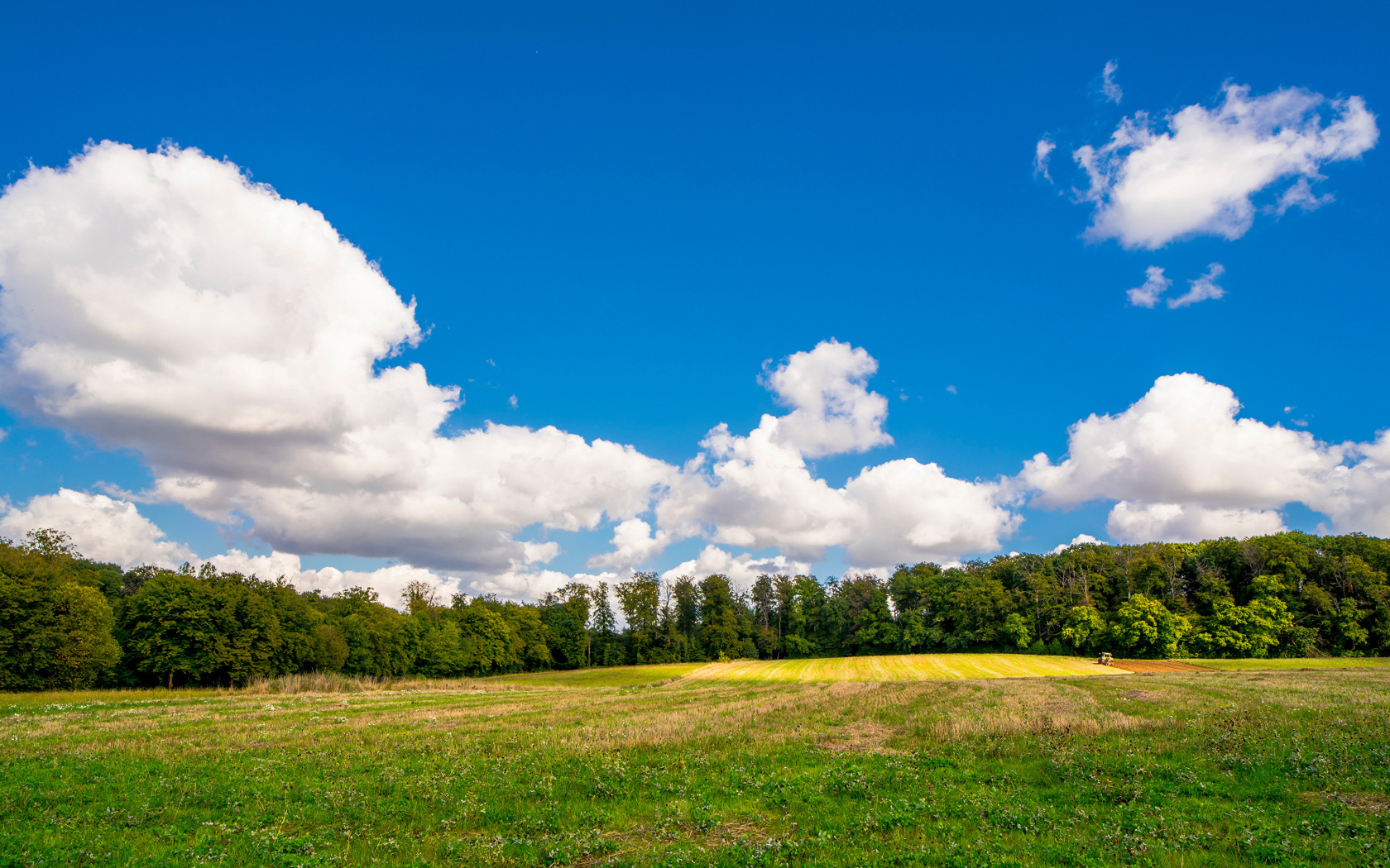 Белые густые облака над зеленым полем