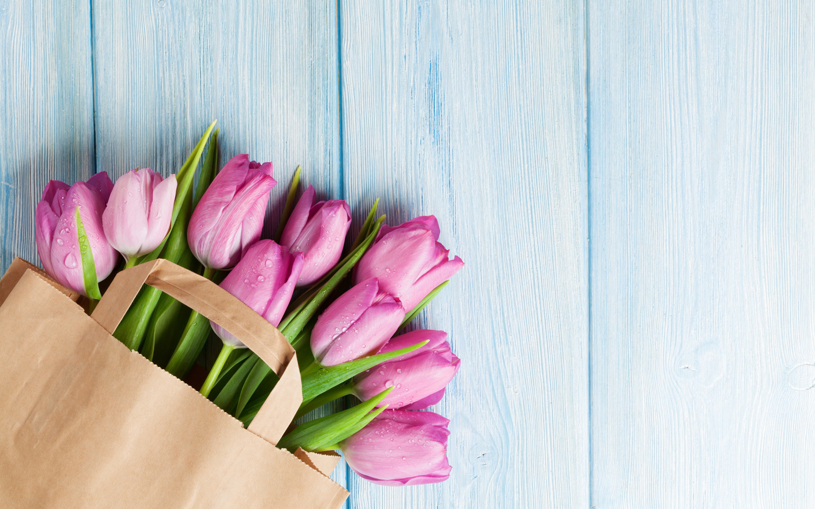 Пакет розовых тюльпанов на голубом столе