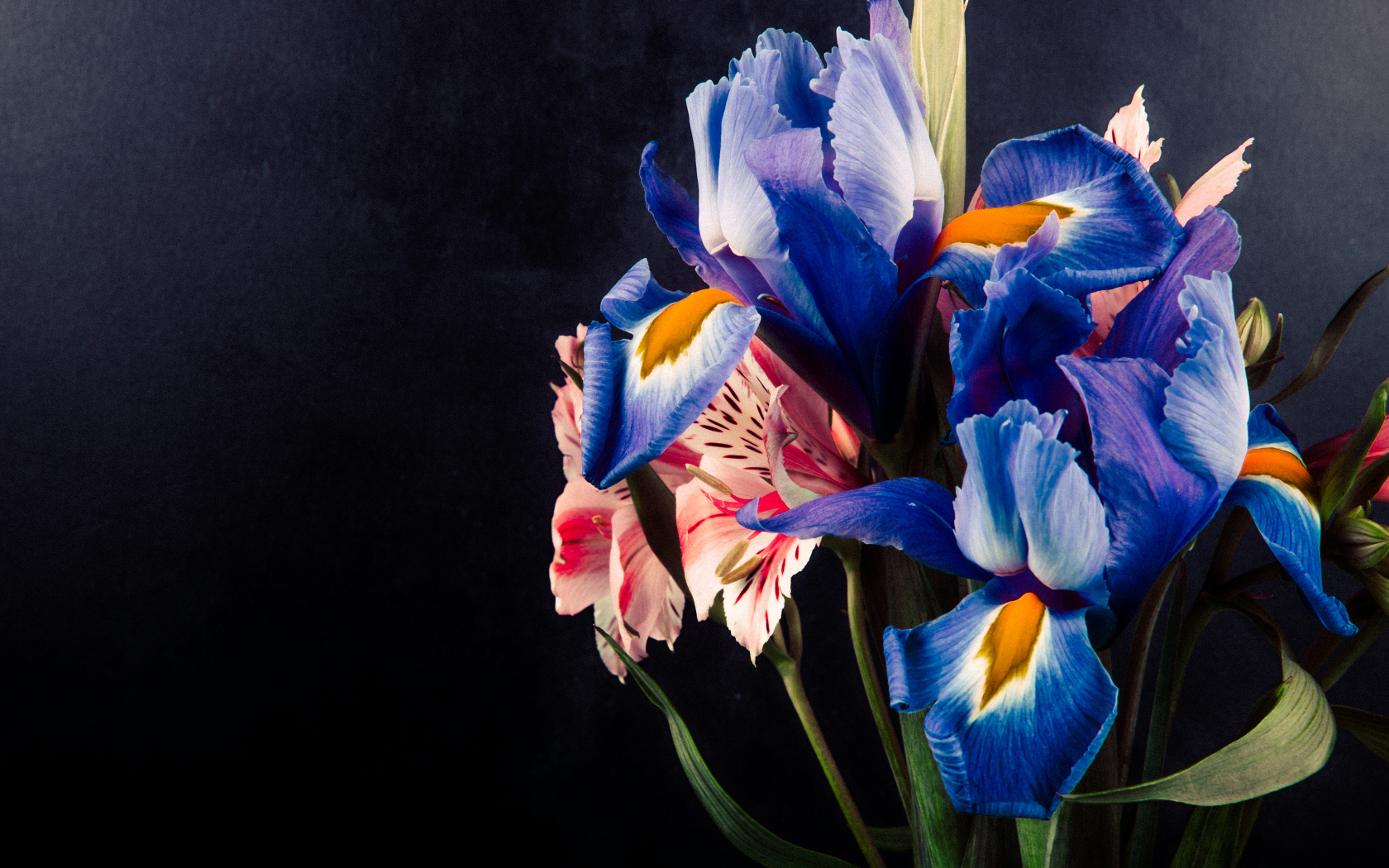 Букет цветов ириса и альстромерии на черном фоне