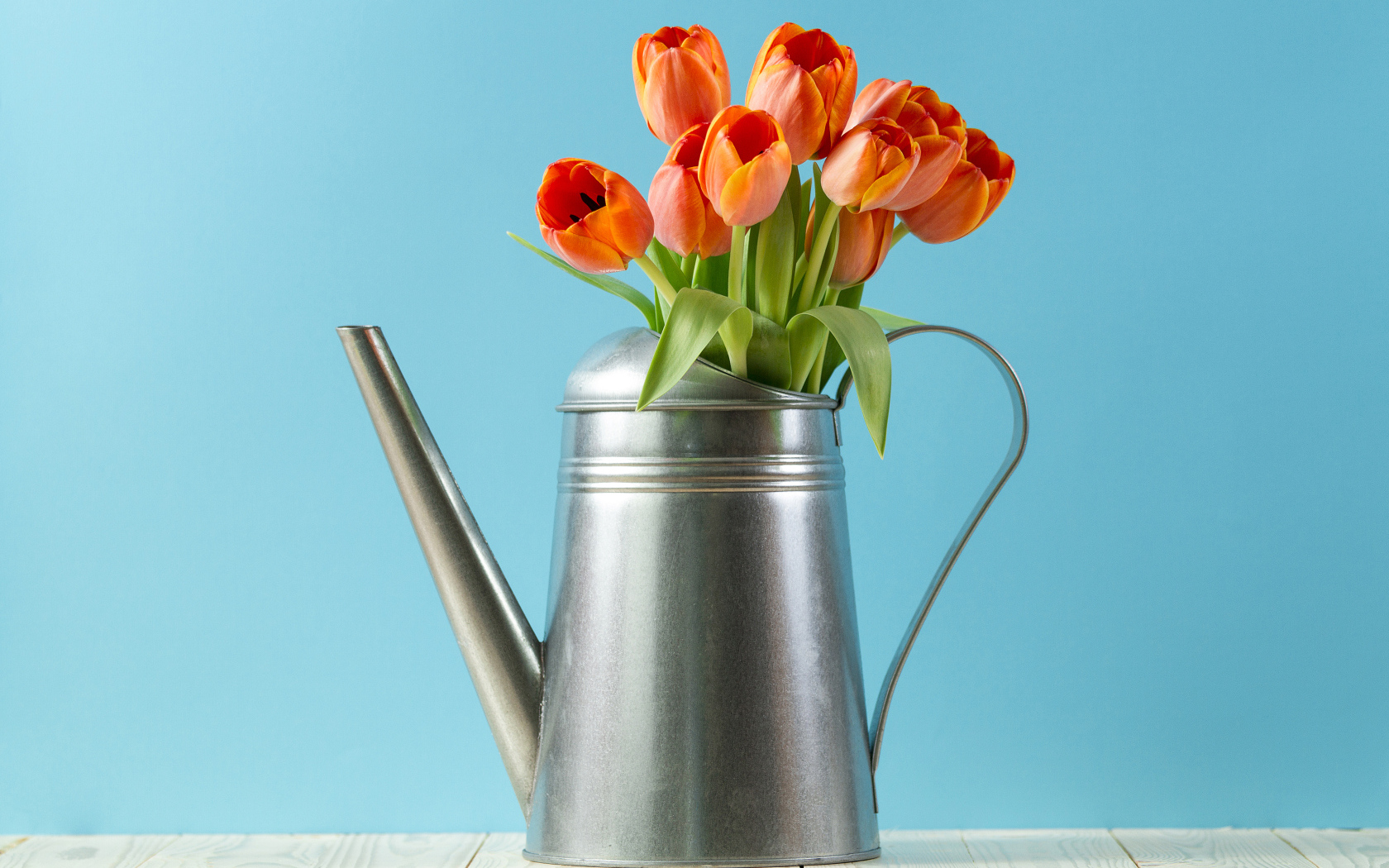 Букет тюльпанов в металлической лейке на голубом фоне