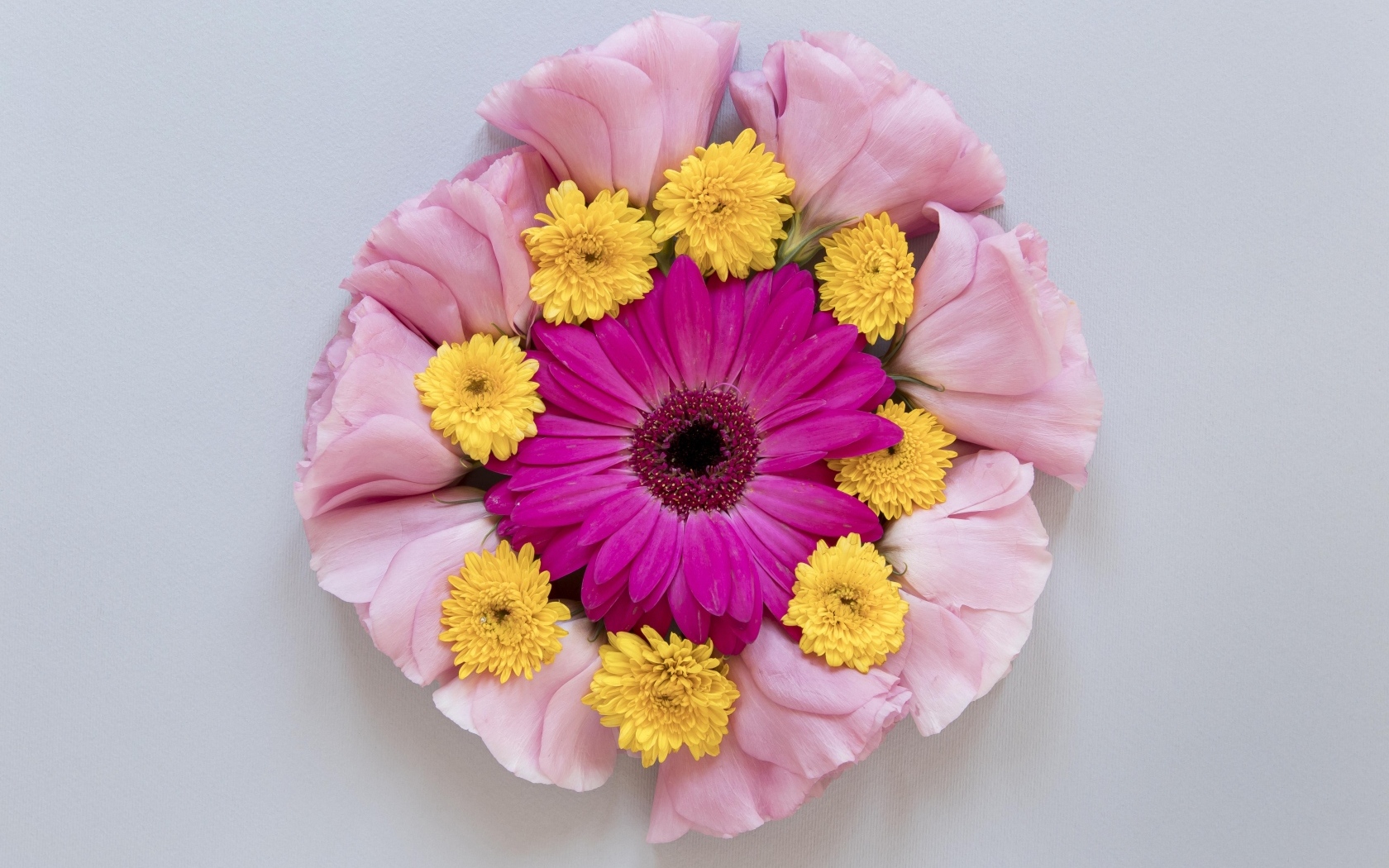 Круг из нежных цветов на сером фоне