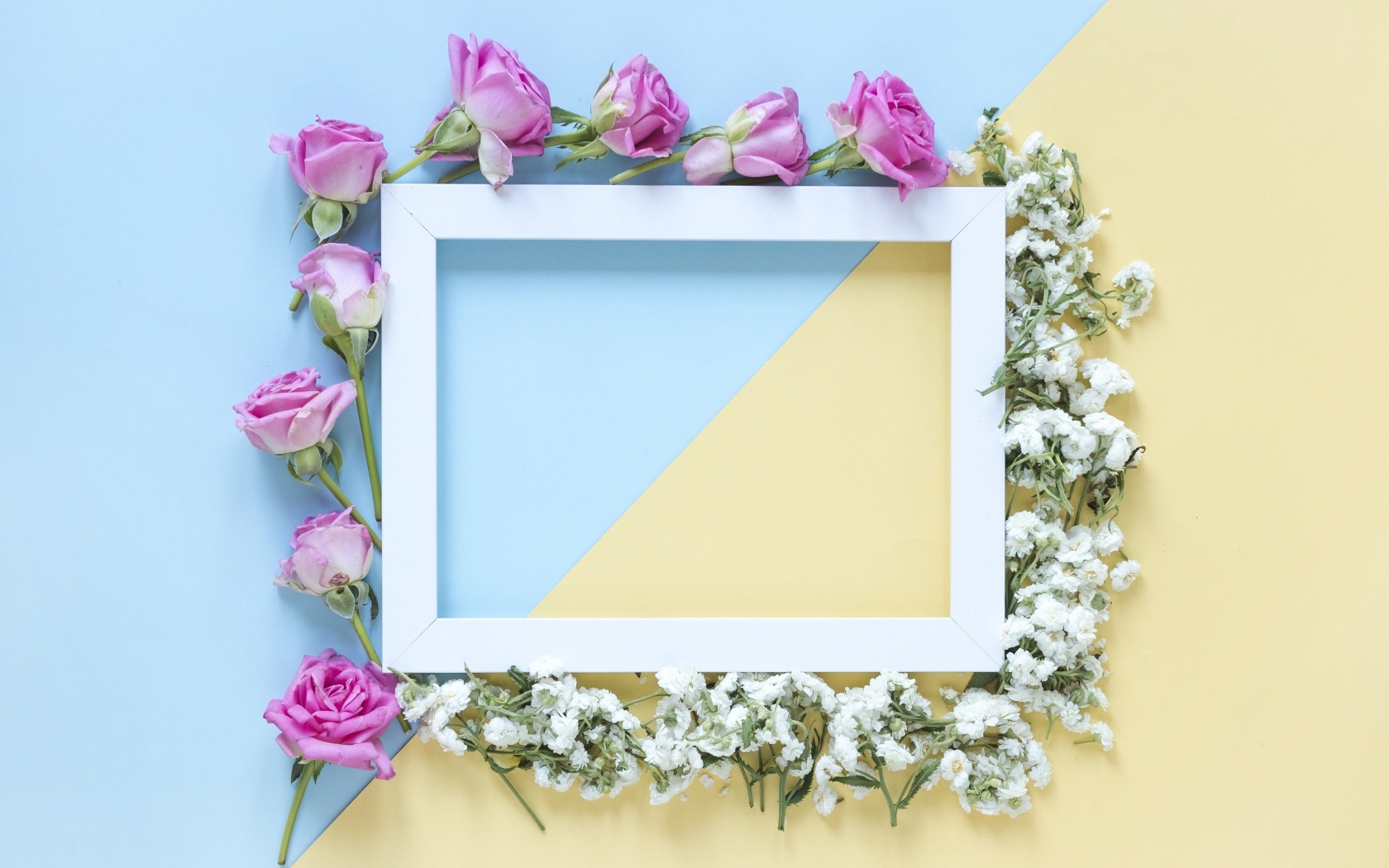 Рамка с цветами розы и гипсофилы 