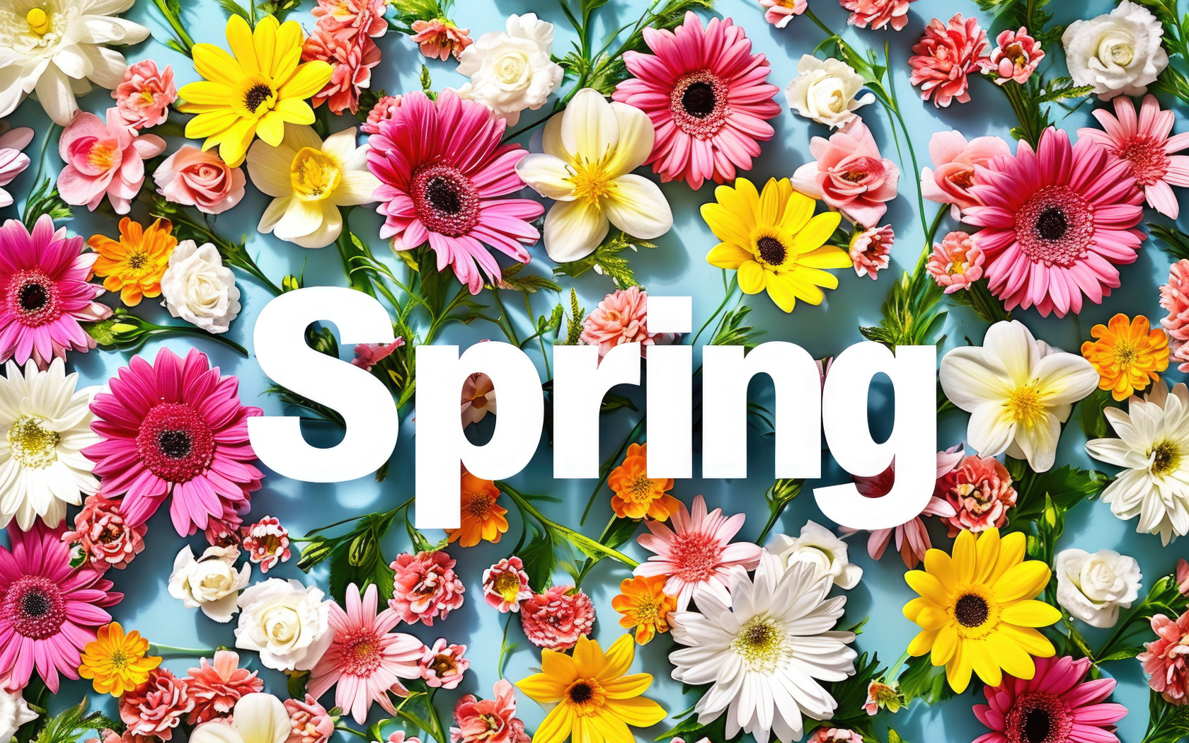 Много разноцветных цветов на голубом фоне с надписью весна