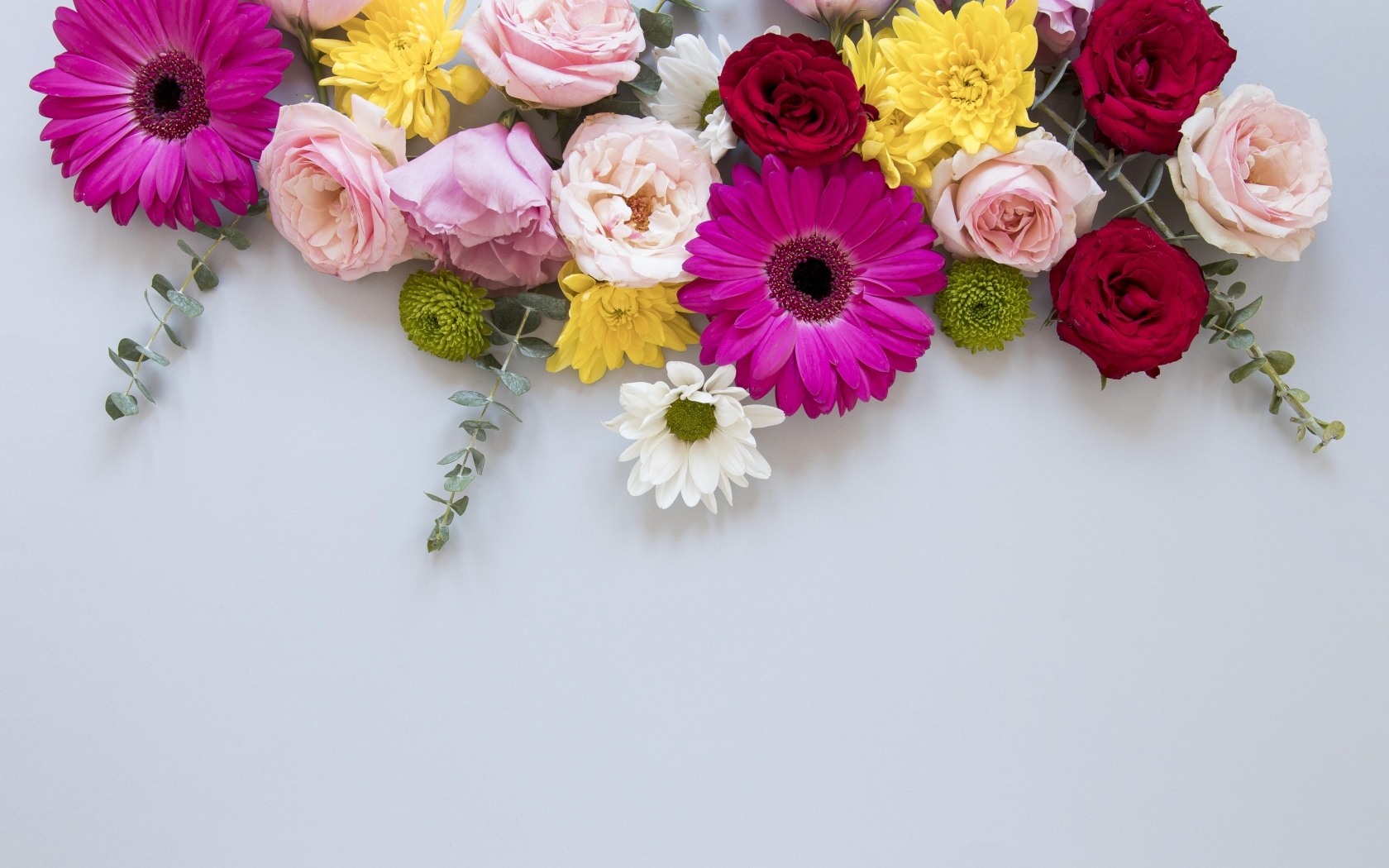 Разноцветные цветы на сером фоне
