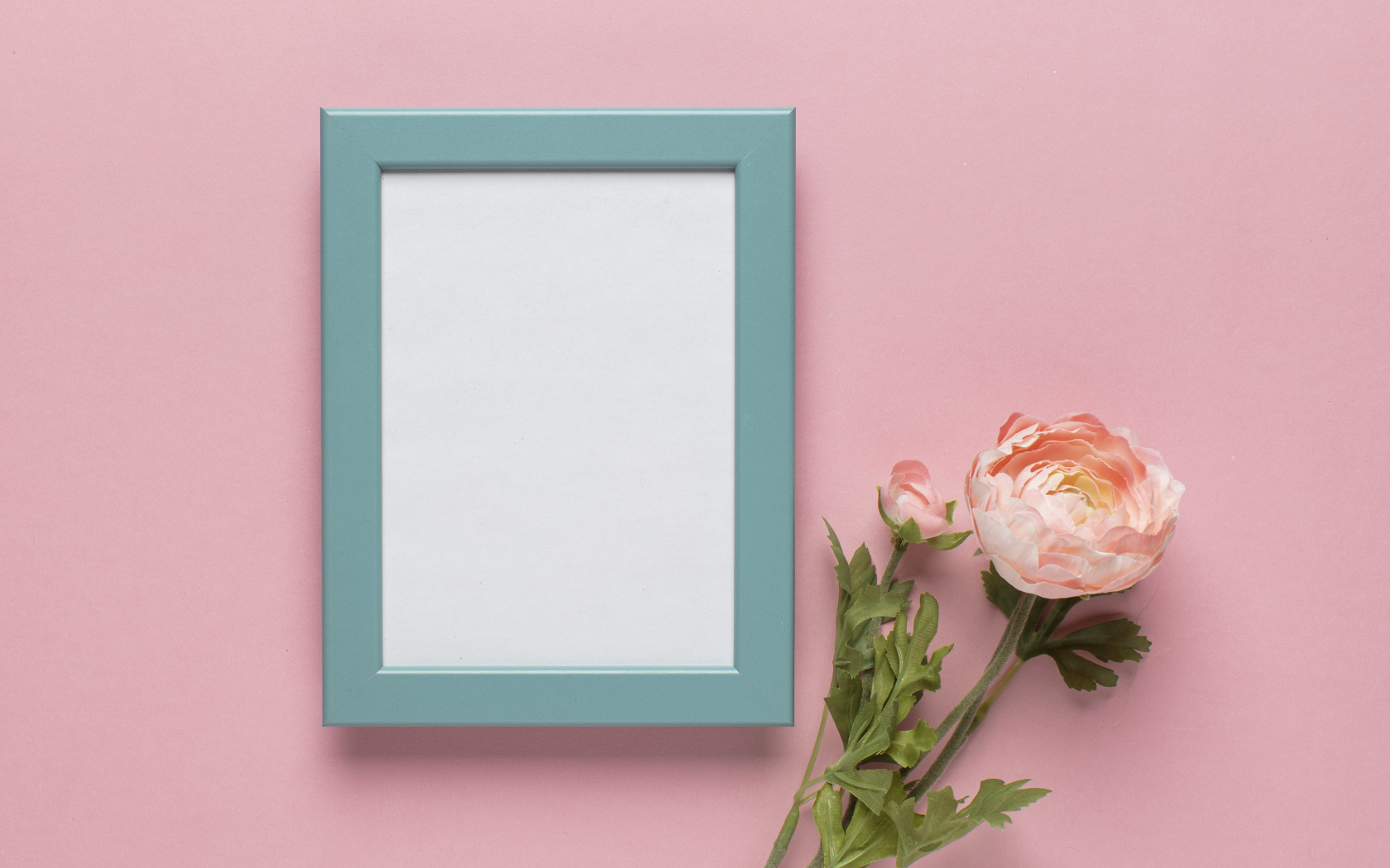 Рамка для фото с цветком лютика на розовом фоне, шаблон