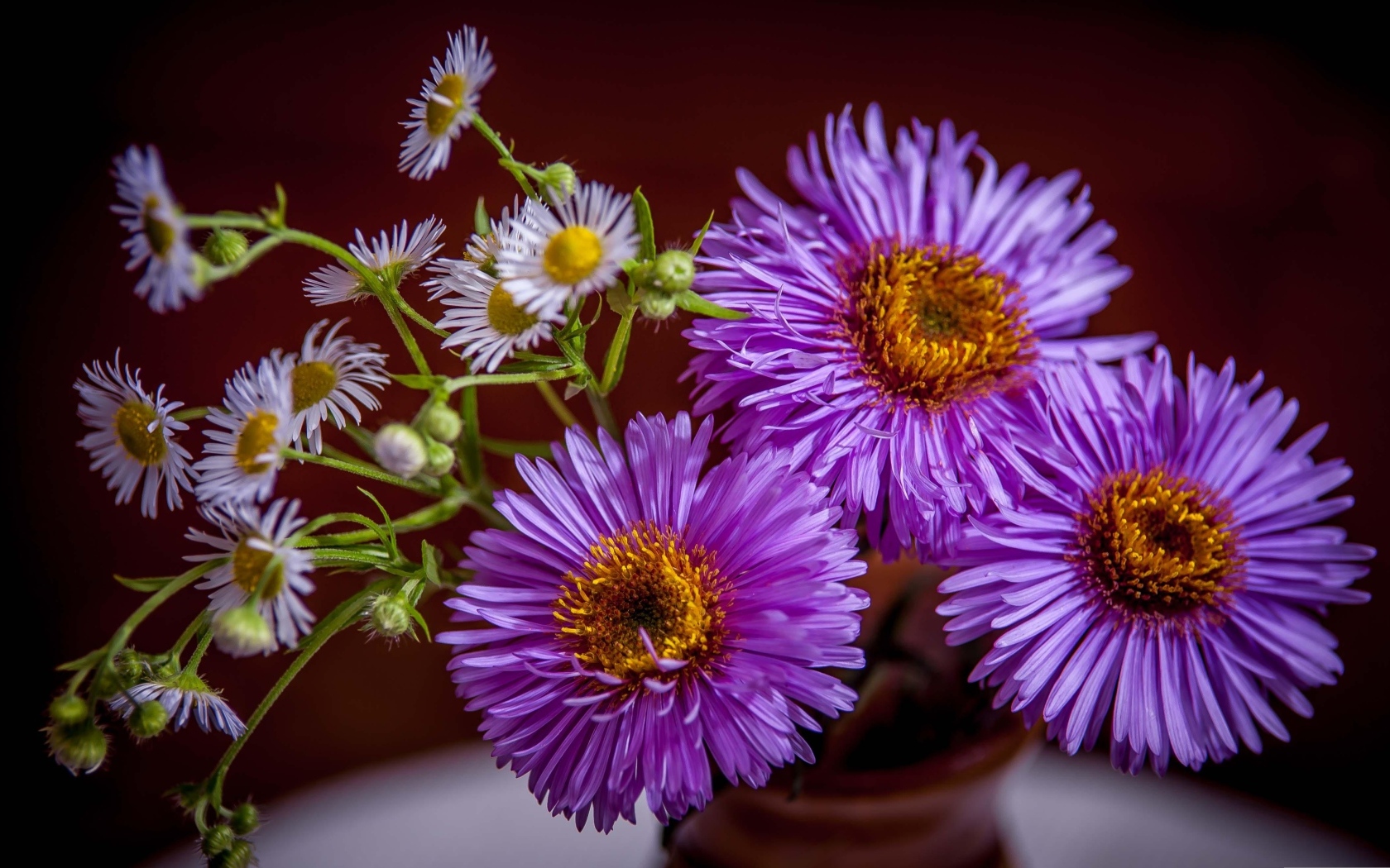 Розовые осенние цветы сентябринка в вазе