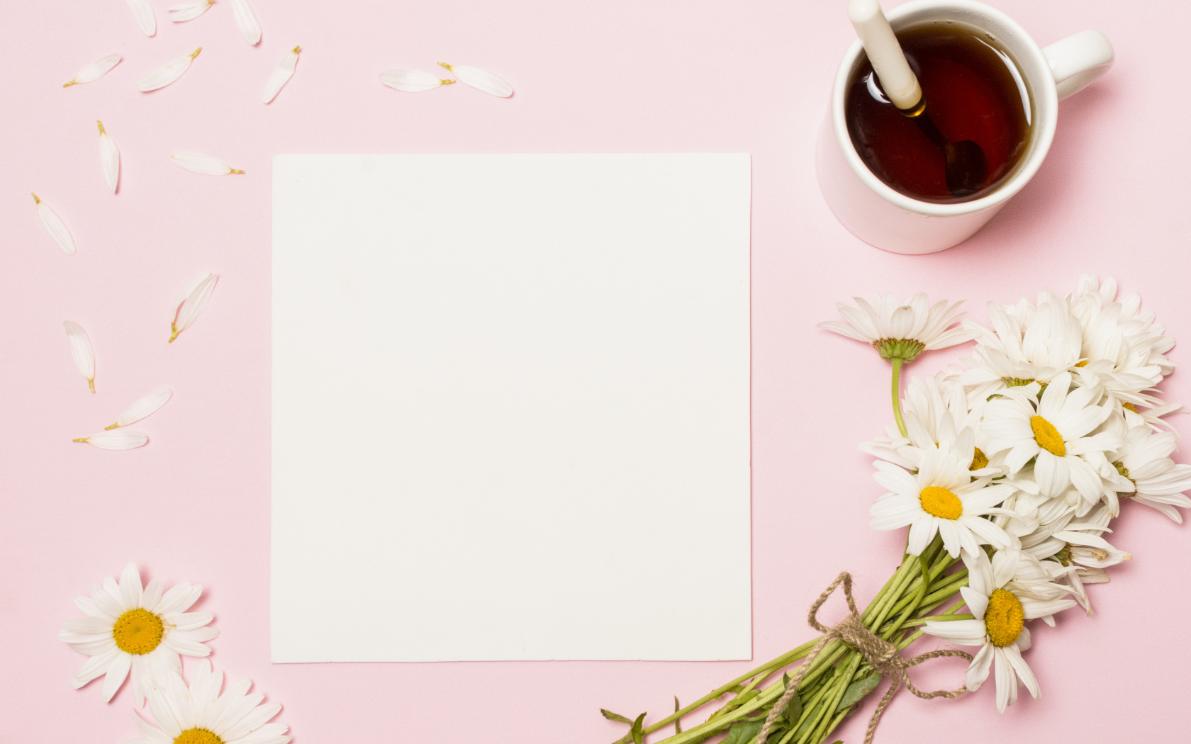 Розовый фон с ромашками, чашкой чая и белым листом бумаги, шаблон