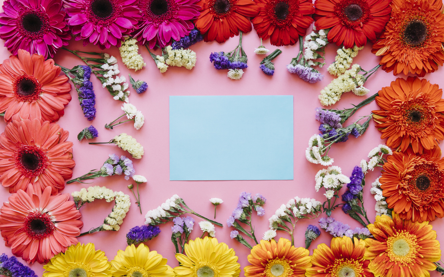 Лист бумаги и герберы на розовом фоне, шаблон