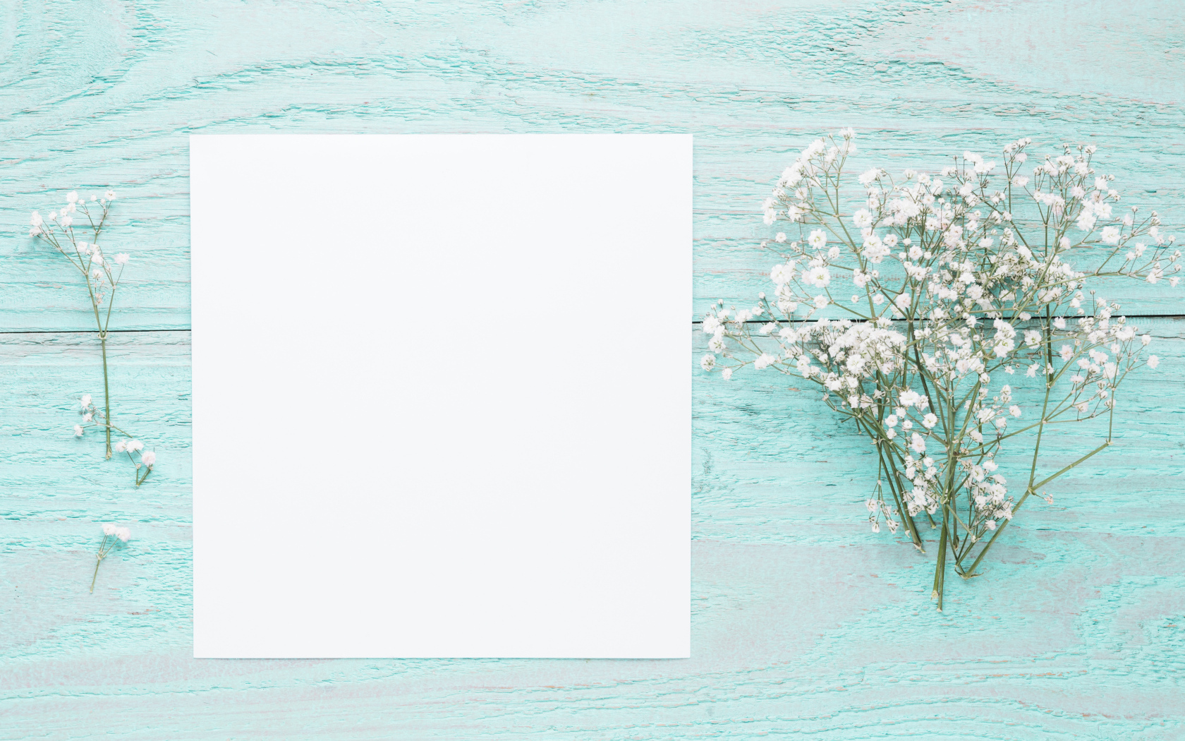 Лист бумаги с белыми цветами гипсофилы на голубом столе