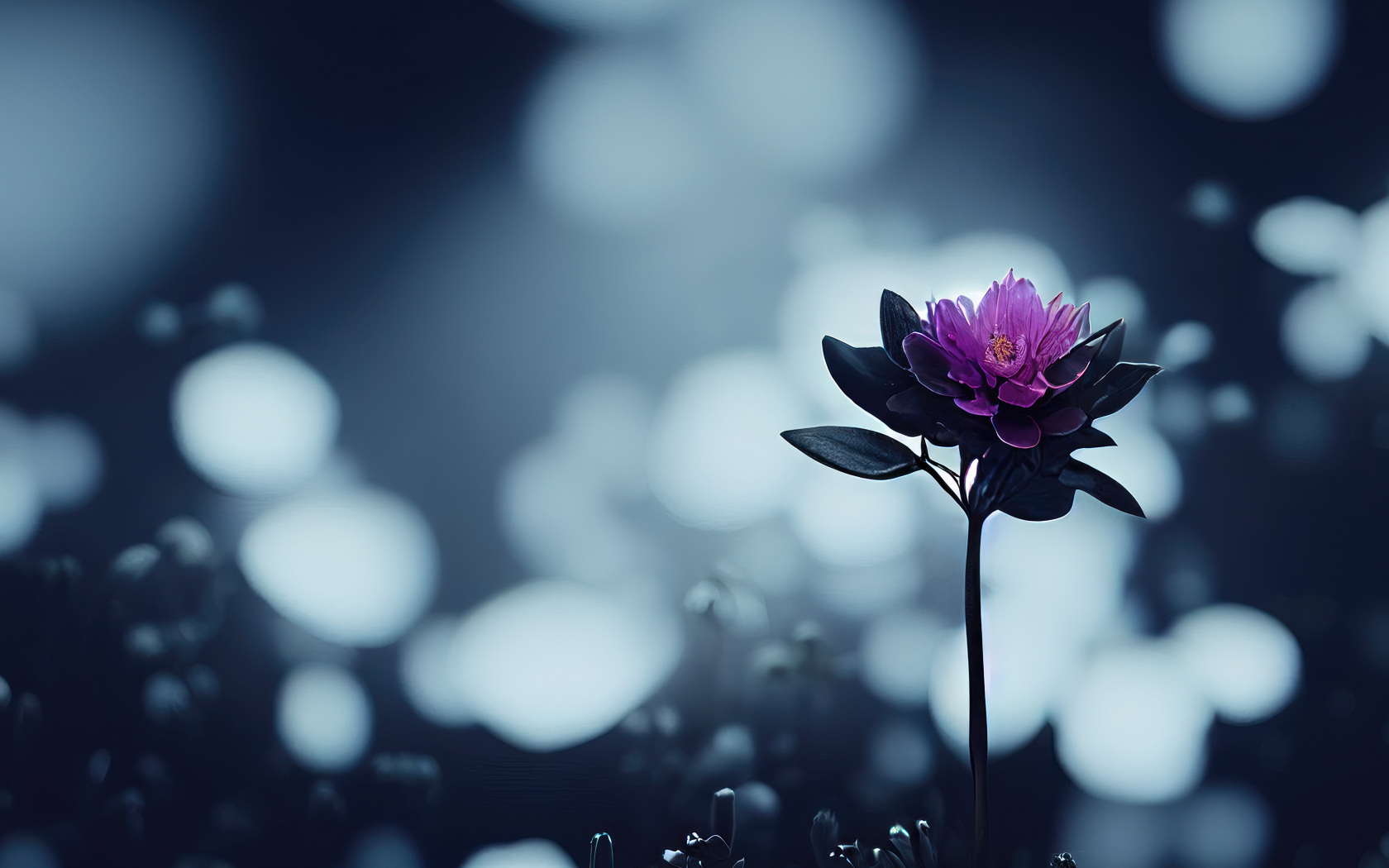 Маленький фиолетовый цветок крупным планом