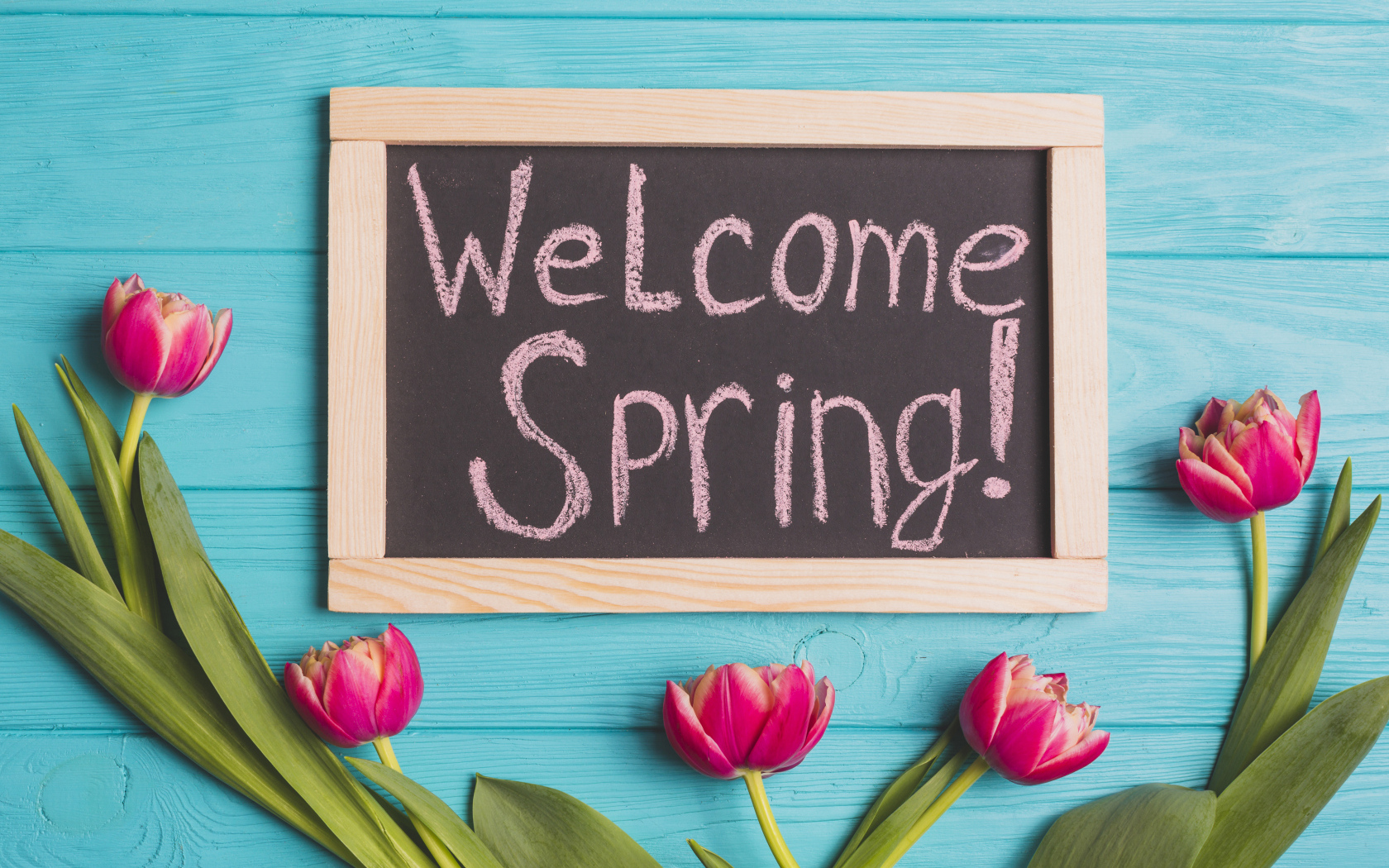 Тюльпаны на голубом фоне с надписью 