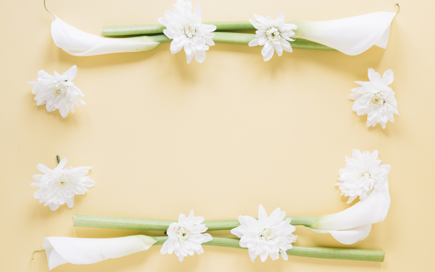 Белые каллы с хризантемами на желтом фоне