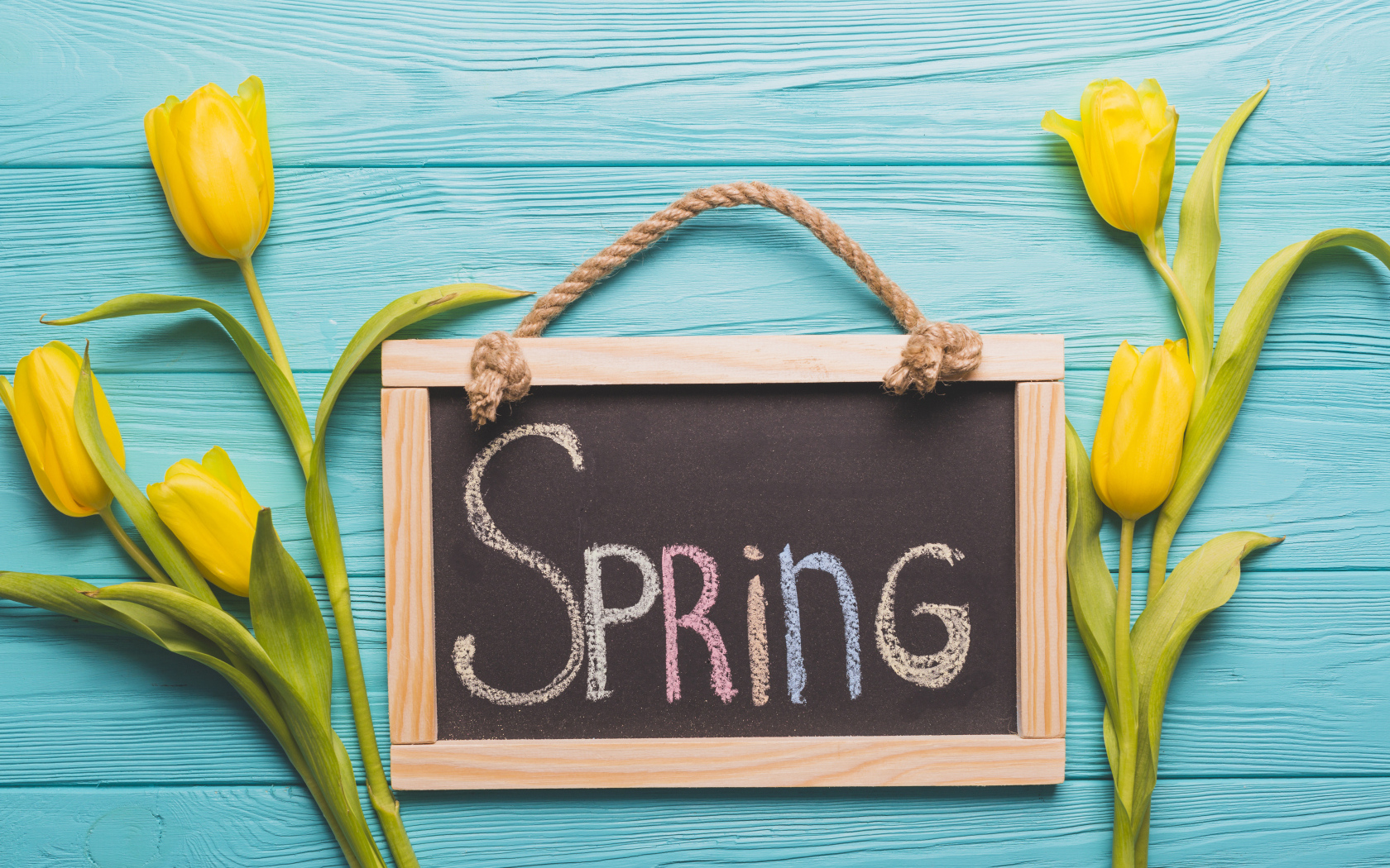 Желтых тюльпаны на голубом фоне с рамкой с надписью весна