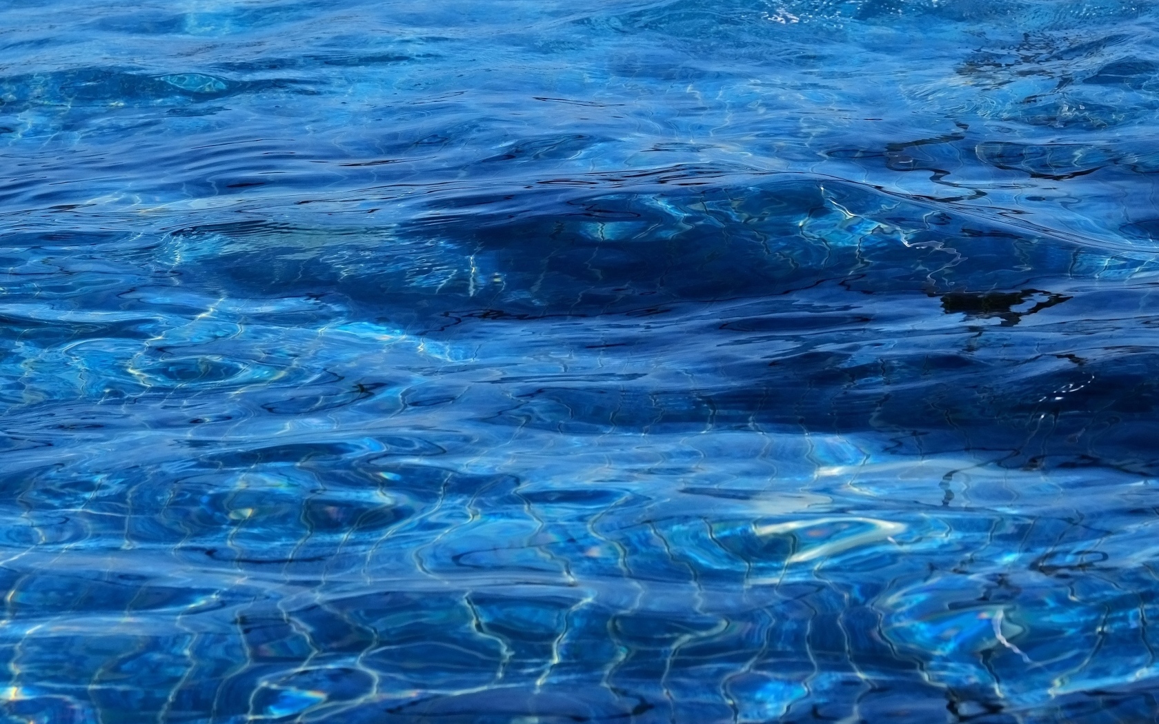 Синяя спокойная вода океана