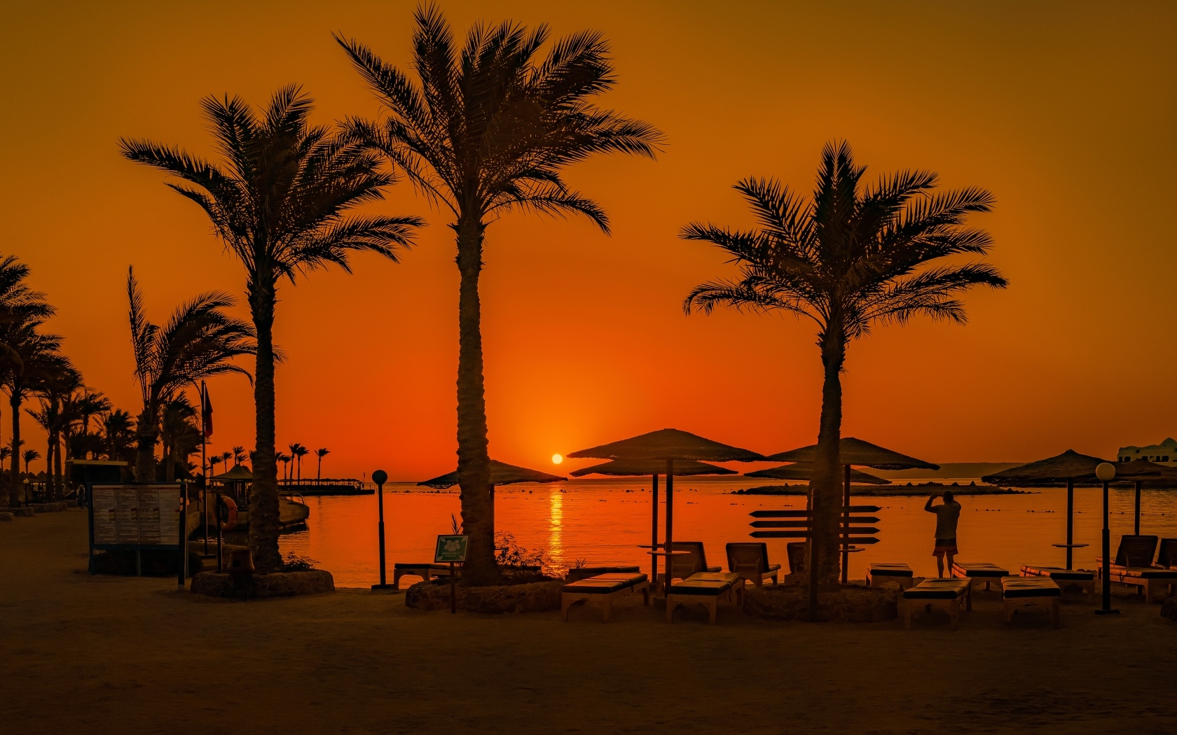 Закат солнца над морем на фоне пальм