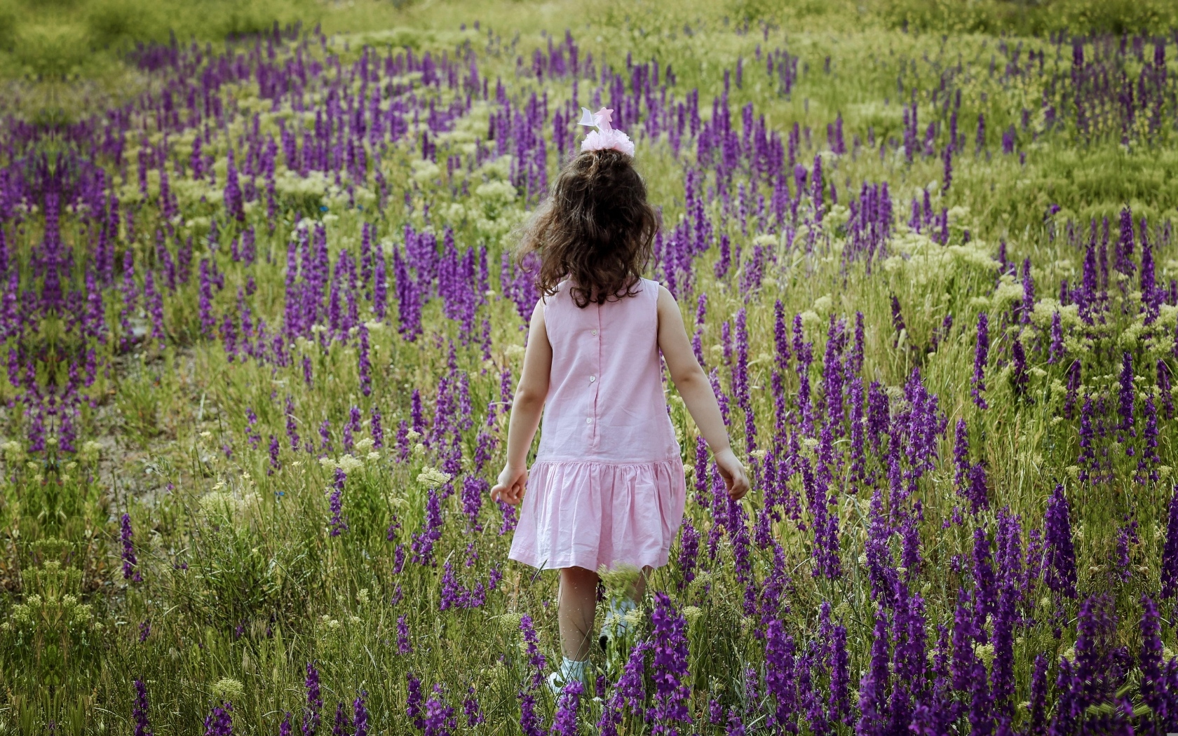 Девочка в розовом платье гуляет по полю с цветами