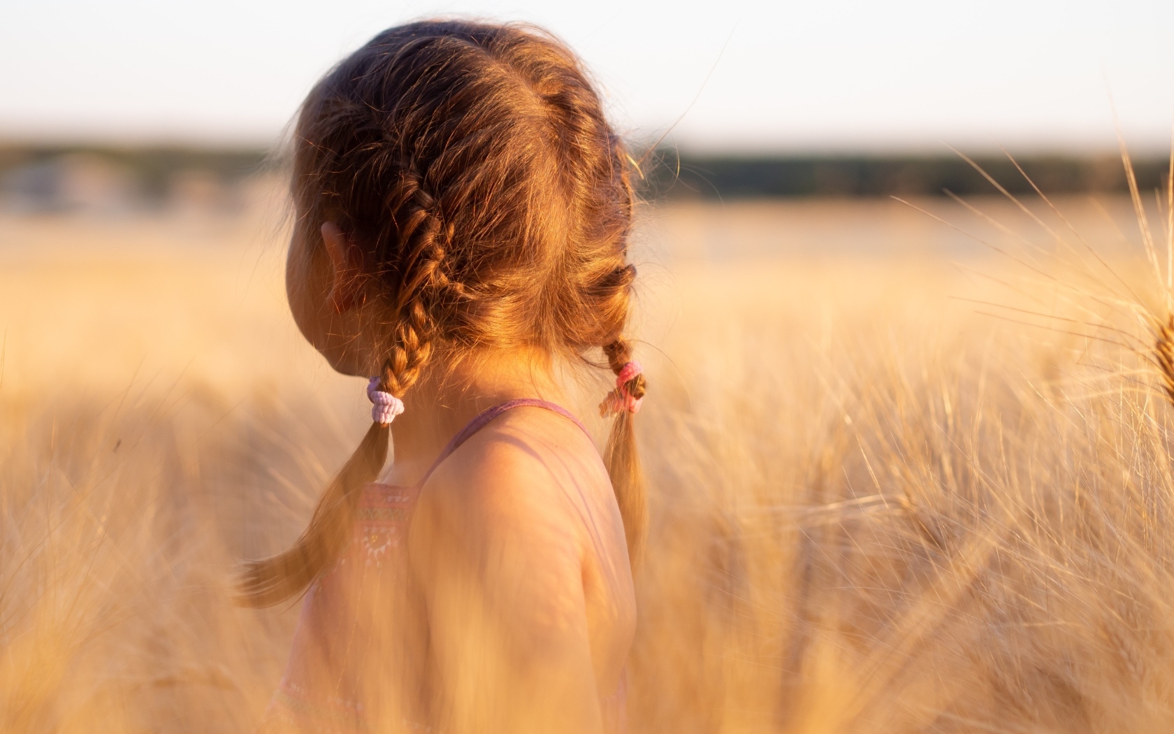 Косы на голове у маленькой девочки
